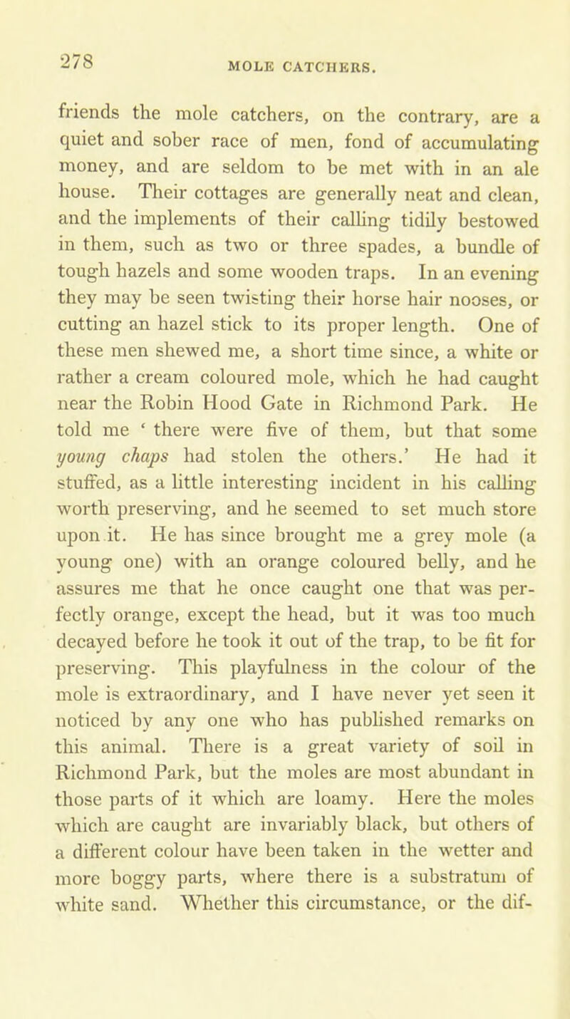 friends the mole catchers, on the contrary, are a quiet and sober race of men, fond of accumulating money, and are seldom to be met with in an ale house. Their cottages are generally neat and clean, and the implements of their calhng tidily bestowed in them, such as two or three spades, a bundle of tough hazels and some wooden traps. In an evening they may be seen twisting their horse hair nooses, or cutting an hazel stick to its proper length. One of these men shewed me, a short time since, a white or rather a cream coloured mole, which he had caught near the Robin Hood Gate in Richmond Park. He told me ‘ there were five of them, but that some young chaps had stolen the others.’ He had it stuffed, as a little interesting incident in his calling worth preserving, and he seemed to set much store upon it. He has since brought me a grey mole (a young one) with an orange coloured belly, and he assures me that he once caught one that was per- fectly orange, except the head, but it was too much decayed before he took it out of the trap, to be fit for preserving. This playfulness in the colour of the mole is extraordinary, and I have never yet seen it noticed by any one who has published remarks on this animal. There is a great variety of sod in Richmond Park, but the moles are most abundant in those parts of it which are loamy. Here the moles which are caught are invariably black, but others of a difterent colour have been taken in the wetter and more boggy parts, where there is a substratum of white sand. Whether this circumstance, or the dif-