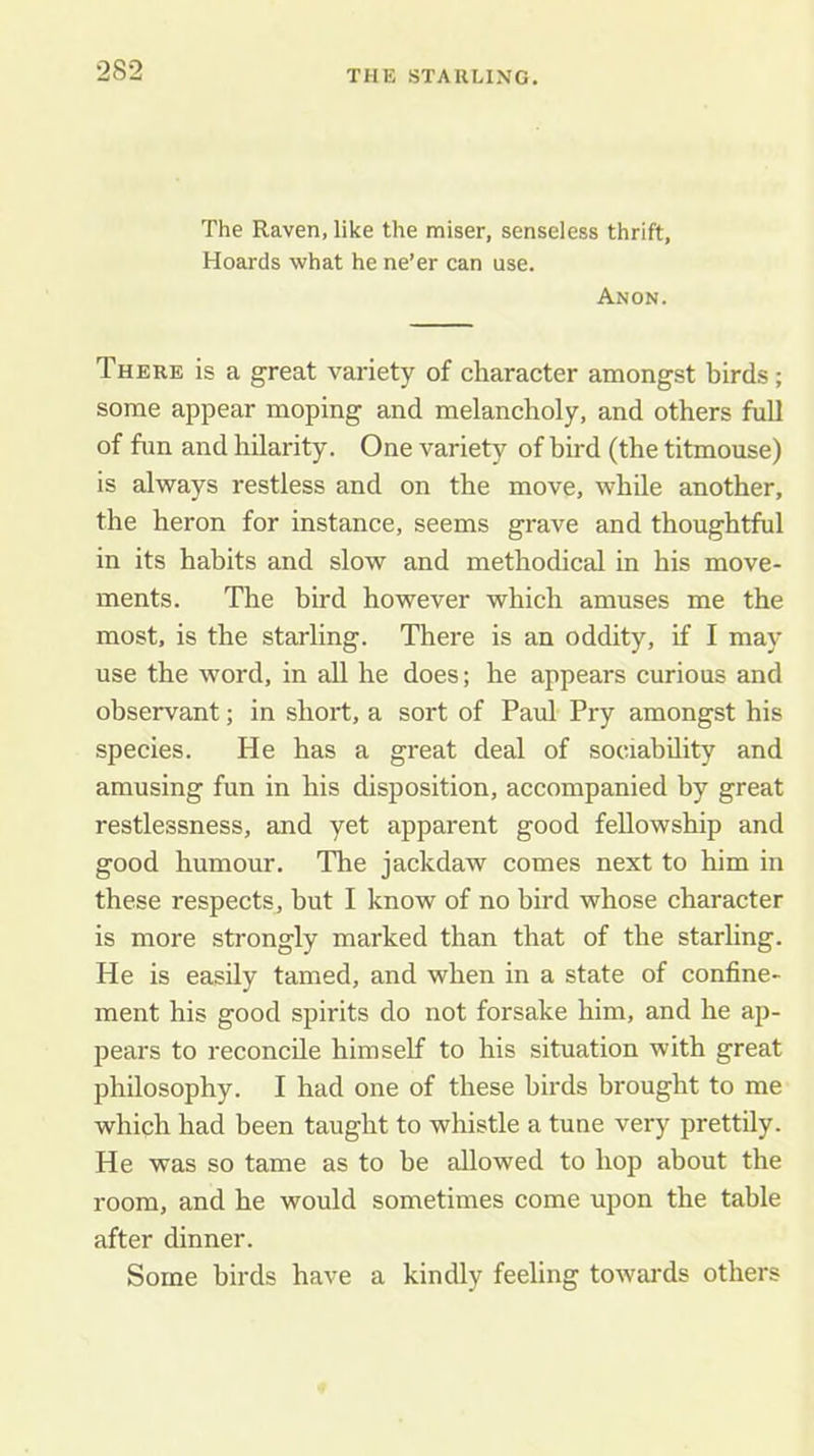 THE STARLING. The Raven, like the miser, senseless thrift. Hoards what he ne’er can use. Anon. There is a great variety of character amongst birds; some appear moping and melancholy, and others fuU of fun and hilarity. One variety of bird (the titmouse) is always restless and on the move, while another, the heron for instance, seems grave and thoughtful in its habits and slow and methodical in his move- ments. The bird however which amuses me the most, is the starling. There is an oddity, if I may use the word, in all he does; he appears curious and observant; in short, a sort of Paul Pry amongst his species. He has a great deal of sociability and amusing fun in his disposition, accompanied by great restlessness, and yet apparent good fellowship and good humour. The jackdaw comes next to him in these respects, but I know of no bird whose character is more strongly marked than that of the starhng. He is easily tamed, and when in a state of confine- ment his good spirits do not forsake him, and he ap- pears to reconcile himself to his situation with great philosophy. I had one of these birds brought to me which had been taught to whistle a tune very prettily. He was so tame as to be allowed to hop about the room, and he would sometimes come upon the table after dinner. Some birds have a kindly feeling towai'ds others