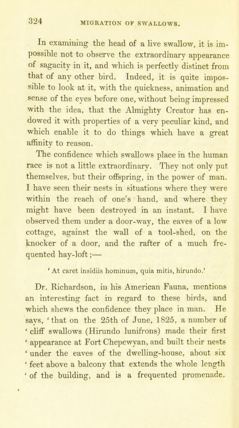 In examining the head of a live swallow, it is im- possible not to observe the extraordinary appearance of sagacity in it, and which is perfectly distinct from that of any other bird. Indeed, it is quite impos- sible to look at it, with the quickness, animation and sense of the eyes before one, without being impressed with the idea, that the Almighty Creator has en- dowed it with properties of a very peculiar kind, and which enable it to do things which have a great affinity to reason. The confidence which swallows place in the human race is not a little extraordinary. They not only put themselves, but their offspring, in the power of man. I have seen their nests in situations where they were within the reach of one’s hand, and where thev might have been destroyed in an instant. I have observed them under a door-way, the eaves of a low cottage, against the wall of a tool-shed, on the knocker of a door, and the rafter of a much fre- quented hay-loft;— ‘ At caret insidiis hominum, quia mitis, hirundo.’ Dr. Richardson, in his American Fauna, mentions an interesting fact in regard to these birds, and which shews the confidence they place in man. He says, ‘that on the 25th of June, 1825, a number of ‘ cliff swallows (Hirundo lunifrons) made their first ‘ appearance at Fort Chepewyan, and built their nests ‘ under the eaves of the dwelling-house, about six ‘ feet above a balcony that extends the whole length ‘ of the building, and is a frequented promenade.