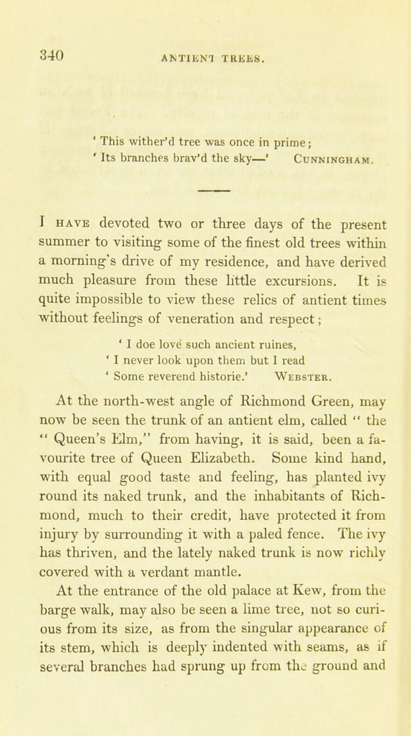 ‘ This wither’d tree was once in prime; ' Its branches brav’d the sky—’ Cunningham. I HAVE devoted two or three days of the present summer to visiting some of the finest old trees within a morning’s drive of my residence, and have derived much pleasure from these little excursions. It is quite impossible to view these relics of antient times without feelings of veneration and respect; ‘ I doe love such ancient ruines, ‘ I never look upon them but 1 read ‘ Some reverend historie.’ Webster. At the north-west angle of Richmond Green, may now be seen the trunk of an antient elm, called “ the “ Queen’s Elm,” from having, it is said, been a fa- vourite tree of Queen Elizabeth. Some kind hand, with equal good taste and feeling, has planted ivy round its naked trunk, and the inhabitants of Rich- mond, much to their credit, have protected it from injmy by surrounding it with a paled fence. The ivy has thriven, and the lately naked trunk is now richly covered with a verdant mantle. At the entrance of the old palace at Kew, from the barge walk, may also be seen a lime tree, not so curi- ous from its size, as from the singular appearance of its stem, which is deeply indented with seams, as if several branches had sprung up from the ground and