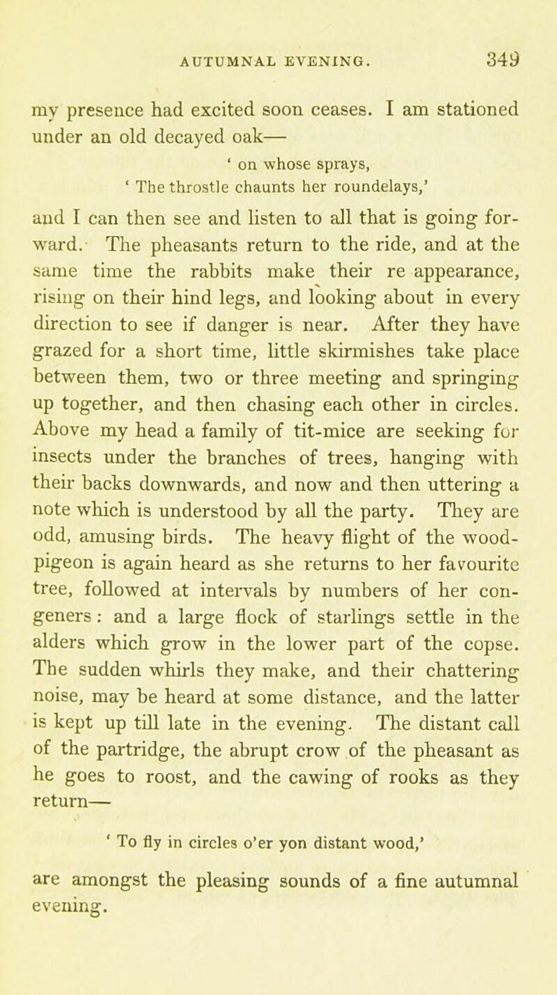 my presence had excited soon ceases. I am stationed under an old decayed oak— ‘ on whose sprays, ‘ The throstle chaunts her roundelays,’ and I can then see and listen to all that is going for- ward. The pheasants return to the ride, and at the same time the rabbits make their re appearance, rising on their hind legs, and looking about in every direction to see if danger is near. After they have grazed for a short time, little skirmishes take place between them, two or three meeting and springing up together, and then chasing each other in circles. Above my head a family of tit-mice are seeking foi* insects under the branches of trees, hanging with their backs downwards, and now and then uttering a note which is understood by all the party. Tliey are odd, amusing birds. The heavy flight of the wood- pigeon is again heard as she returns to her favourite tree, followed at intervals by numbers of her con- geners : and a large flock of starlings settle in the alders which grow in the lower part of the copse. The sudden whirls they make, and their chattering noise, may be heard at some distance, and the latter is kept up till late in the evening. The distant call of the partridge, the abrupt crow of the pheasant as he goes to roost, and the cawing of rooks as they return— ‘ To fly in circles o’er yon distant wood,’ are amongst the pleasing sounds of a fine autumnal evening.