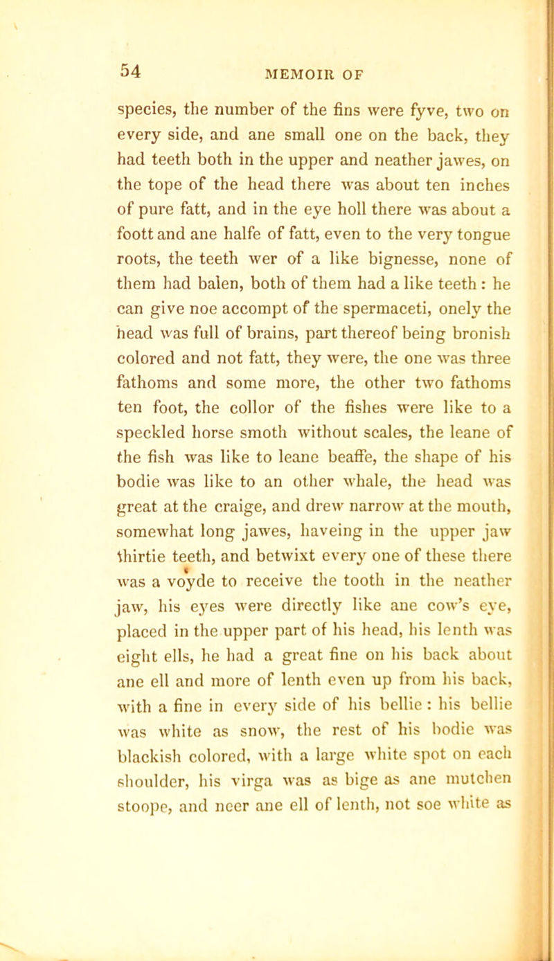 species, the number of the fins were fyve, two on every side, and ane small one on the back, they had teeth both in the upper and neather jawes, on the tope of the head there was about ten inches of pure fatt, and in the eye holl there was about a foott and ane halfe of fatt, even to the very tongue roots, the teeth wer of a like bignesse, none of them had balen, both of them had a like teeth : he can give noe accompt of the spermaceti, onely the head was full of brains, part thereof being bronish colored and not fatt, they were, the one was three fathoms and some more, the other two fathoms ten foot, the collor of the fishes were like to a speckled horse smoth without scales, the leane of the fish was like to leane beaffe, the shape of his bodie was like to an other whale, the head was great at the craige, and drew narrow at the mouth, somewhat long jawes, haveing in the upper jaw thirtie teeth, and betwixt every one of these there was a voyde to receive the tooth in the neather jaw, his eyes were directly like ane cow’s eye, placed in the upper part of his head, his Ienth was eight ells, he had a great fine on his back about ane ell and more of lenth even up from his back, with a fine in every side of his bellie : his bellie was white as snow, the rest of his bodie was blackish colored, with a large white spot on each shoulder, his virga was as bige as ane mutcben stoope, and ncer ane ell of lenth, not soe white as