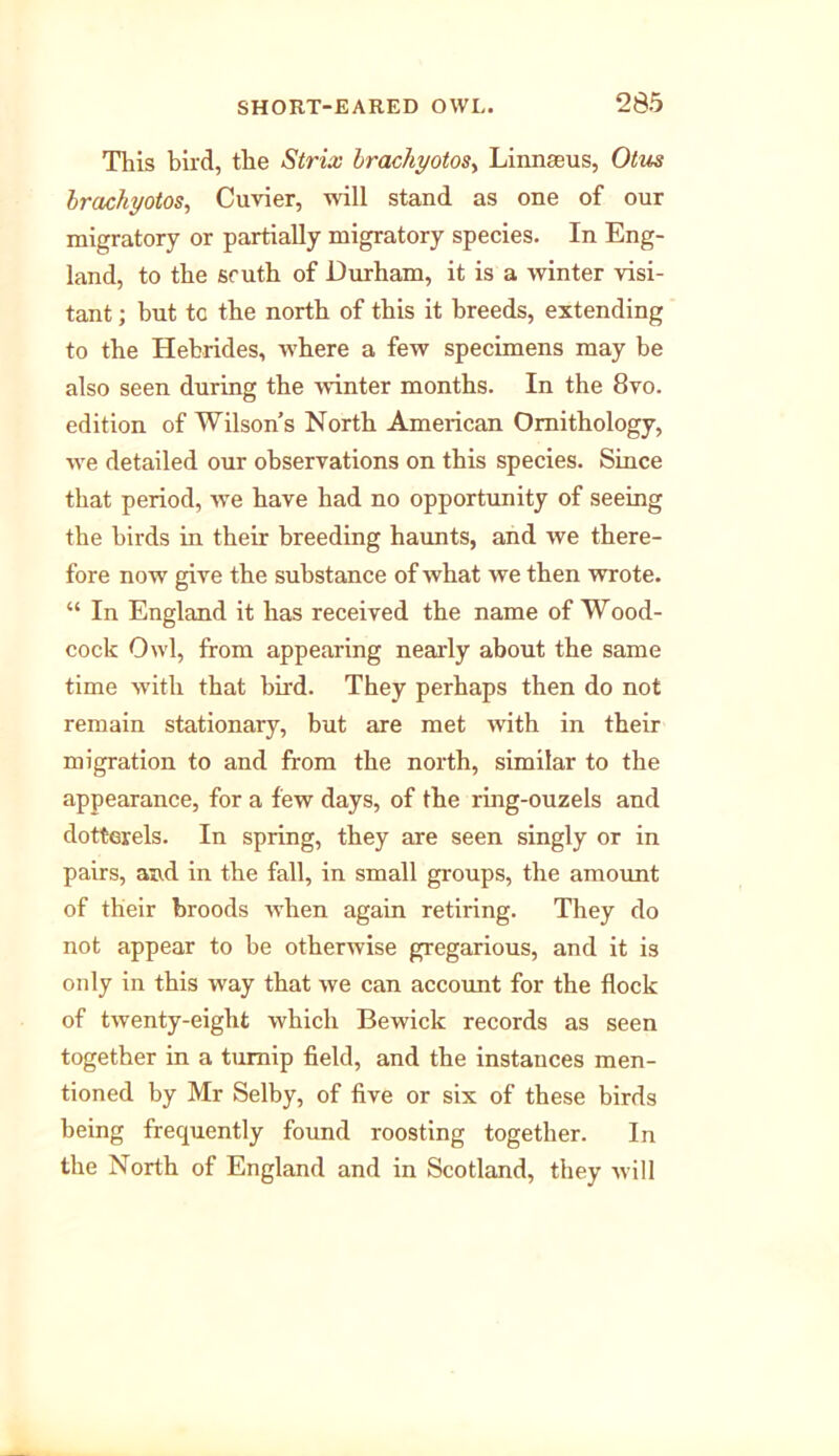 This bird, the Strix brachyotosy Linnseus, Otus brachyotos, Cuvier, will stand as one of our migratory or partially migratory species. In Eng- land, to the south of Durham, it is a winter visi- tant ; but tc the north of this it breeds, extending to the Hebrides, where a few specimens may be also seen during the winter months. In the 8vo. edition of Wilson s North American Ornithology, we detailed our observations on this species. Since that period, we have had no opportunity of seeing the birds in their breeding haunts, and we there- fore now give the substance of what we then wrote. “ In England it has received the name of Wood- cock Owl, from appearing nearly about the same time with that bird. They perhaps then do not remain stationary, but are met with in their migration to and from the north, similar to the appearance, for a few days, of the ring-ouzels and dotterels. In spring, they are seen singly or in pairs, and in the fall, in small groups, the amount of their broods when again retiring. They do not appear to be otherwise gregarious, and it is only in this way that we can account for the flock of twenty-eight which Bewick records as seen together in a turnip field, and the instances men- tioned by Mr Selby, of five or six of these birds being frequently found roosting together. In the North of England and in Scotland, they will