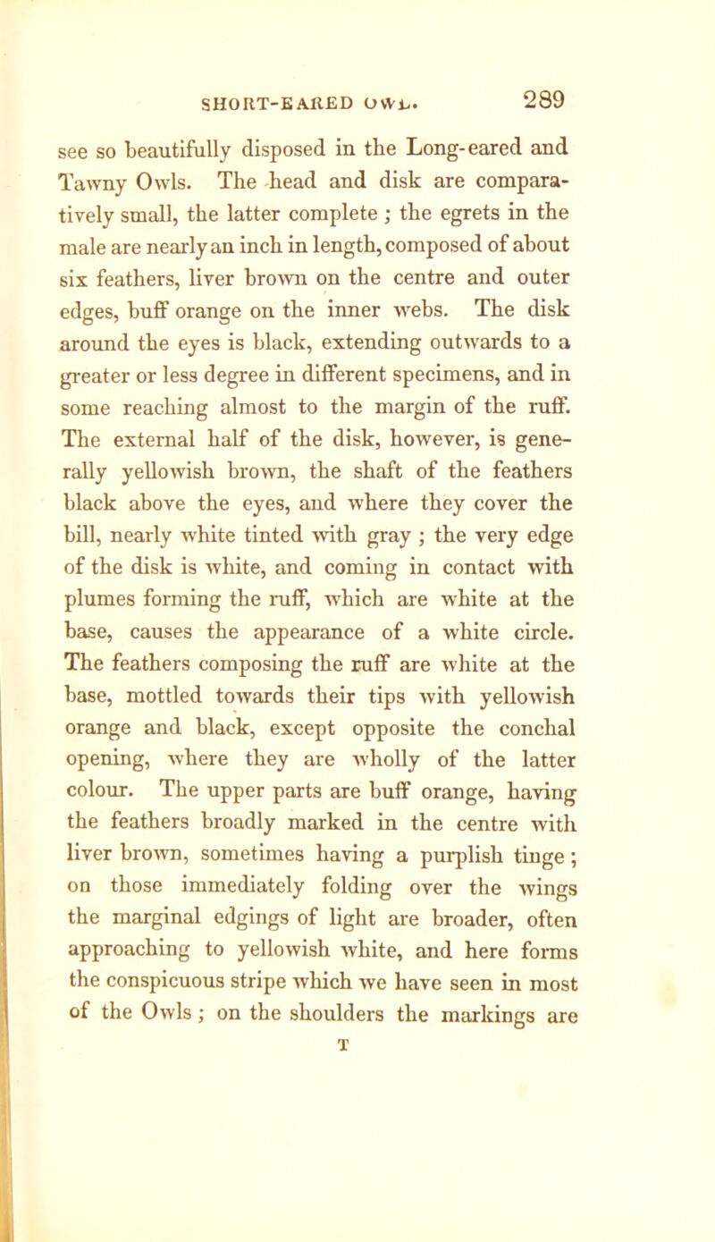 see so beautifully disposed in tlie Long-eared and Tawny Owls. The head and disk are compara- tively small, the latter complete ; the egrets in the male are nearly an inch in length, composed of about six feathers, liver brown on the centre and outer edges, buff orange on the inner webs. The disk around the eyes is black, extending outwards to a greater or less degree in different specimens, and in some reaching almost to the margin of the ruff. The external half of the disk, however, is gene- rally yellowish brown, the shaft of the feathers black above the eyes, and where they cover the bill, nearly white tinted with gray ; the very edge of the disk is Avhite, and coming in contact with plumes forming the ruff, which are white at the base, causes the appearance of a white circle. The feathers composing the ruff are white at the base, mottled towards their tips with yellowish orange and black, except opposite the conclial opening, where they are wholly of the latter colour. The upper parts are buff orange, having the feathers broadly marked in the centre with liver brown, sometimes having a purplish tinge ; on those immediately folding over the wings the marginal edgings of light are broader, often approaching to yellowish white, and here forms the conspicuous stripe which we have seen in most of the Owls ; on the shoulders the markings are T