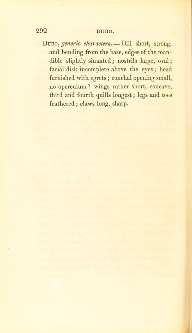 Bubo, generic characters. — Bill short, strong, and bending from the base, edges of the man- dible slightly sinuated; nostrils large, oval; facial disk incomplete above the eyes; head furnished with egrets; conchal opening small, no operculum? wings rather short, concave, third and fourth quills longest; legs and toes feathered; claws long, sharp.