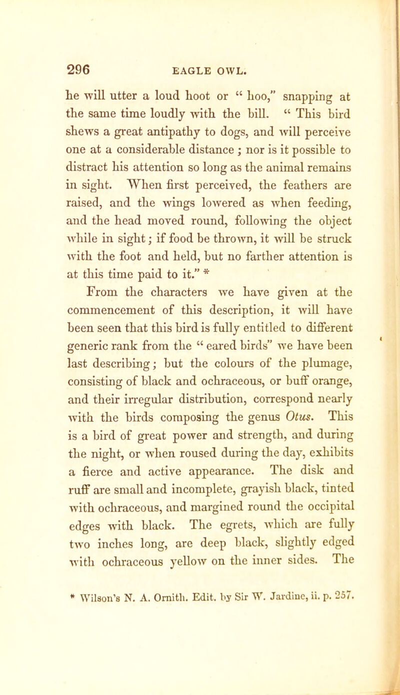 lie will utter a loud hoot or “ hoo,” snapping at the same time loudly with the bill. “ This bird shews a great antipathy to dogs, and will perceive one at a considerable distance ; nor is it possible to distract his attention so long as the animal remains in sight. When first perceived, the feathers are raised, and the wings lowered as when feeding, and the head moved round, following the object while in sight; if food be thrown, it will be struck with the foot and held, but no farther attention is at this time paid to it.” * From the characters we have given at the commencement of this description, it will have been seen that this bird is fully entitled to different generic rank from the “ eared birds” we have been last describing; but the colours of the plumage, consisting of black and ochraceous, or buff orange, and their irregular distribution, correspond nearly with the birds composing the genus Otus. This is a bird of great power and strength, and during the night, or when roused during the day, exhibits a fierce and active appearance. The disk and ruff are small and incomplete, grayish black, tinted with ochraceous, and margined round the occipital edges with black. The egrets, which are fully two inches long, are deep black, slightly edged with ochraceous yellow on the inner sides. The Wilson’s N. A. Omitli. Edit, liy Sir W. Jardine, ii. p. 257.