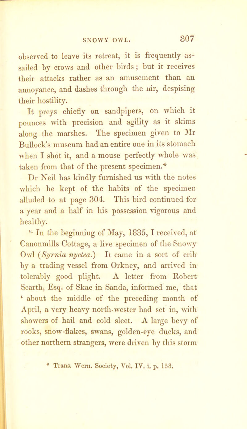 observed to leave its retreat, it is frequently as- sailed by crows and other birds; but it receives their attacks rather as an amusement than an annoyance, and dashes through the air, despising their hostility. It preys chiefly on sandpipers, on which it pounces with precision and agility as it skims along the marshes. The specimen given to Mr Bullock’s museum had an entire one in its stomach when I shot it, and a mouse perfectly whole was taken from that of the present specimen.* Dr Neil has kindly furnished us with the notes which he kept of the habits of the specimen alluded to at page 304. This bird continued for a year and a half in his possession vigorous and healthy. In the beginning of May, 1835,1 received, at Canonmills Cottage, a live specimen of the Snowy Owl (<Syrnia nyctea.') It came in a sort of crib by a trading vessel from Orkney, and arrived in tolerably good plight. A letter from Robert Scarth, Esq. of Skae in Sanda, informed me, that ‘ about the middle of the preceding month of April, a very heavy north-wester had set in, with showers of hail and cold sleet. A large bevy of rooks, snow-flakes, swans, golden-eye ducks, and other northern strangers, were driven by this storm * Trans. Worn. Society, Vol. IV. i. p. 158.