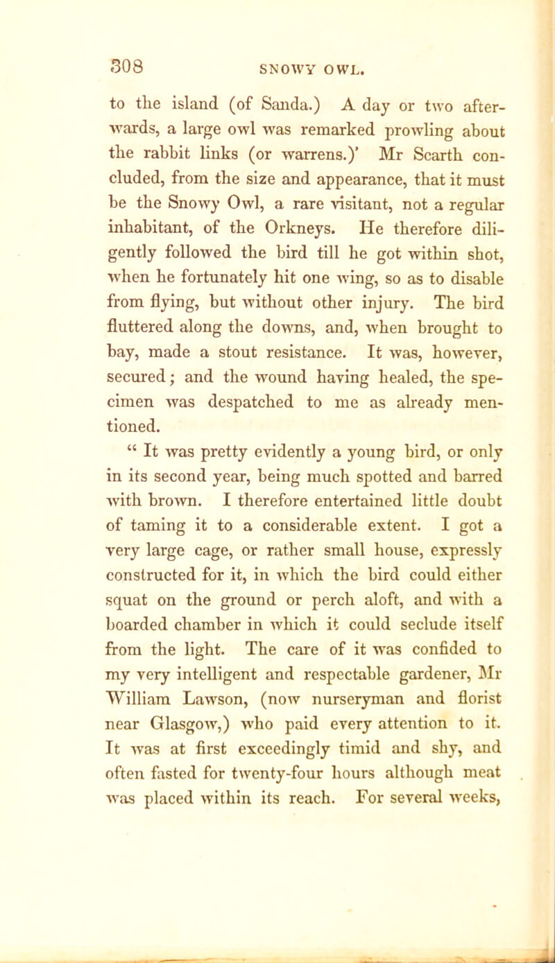 to the island (of Sanda.) A day or two after- wards, a large owl was remarked prowling about the rabbit links (or warrens.)’ Mr Scarth con- cluded, from the size and appearance, that it must be the Snowy Owl, a rare visitant, not a regular inhabitant, of the Orkneys. He therefore dili- gently followed the bird till he got within shot, when he fortunately hit one wing, so as to disable from flying, but without other injury. The bird fluttered along the downs, and, when brought to bay, made a stout resistance. It was, however, secured; and the wound having healed, the spe- cimen was despatched to me as already men- tioned. “ It was pretty evidently a young bird, or only in its second year, being much spotted and barred with brown. I therefore entertained little doubt of taming it to a considerable extent. I got a very large cage, or rather small house, expressly constructed for it, in which the bird could either squat on the ground or perch aloft, and with a boarded chamber in which it could seclude itself from the light. The care of it was confided to my very intelligent and respectable gardener, Mr William Lawson, (now nurseryman and florist near Glasgow,) who paid every attention to it. It was at first exceedingly timid and shy, and often fasted for twenty-four hours although meat was placed within its reach. For several weeks,