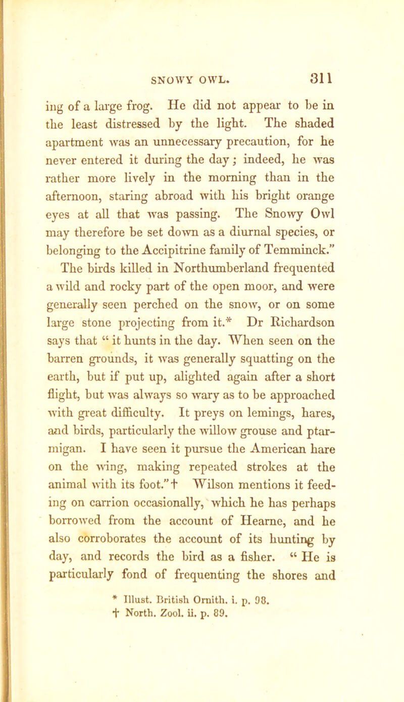 ing of a large frog. He did not appear to be in the least distressed by the light. The shaded apartment was an unnecessary precaution, for he never entered it during the day; indeed, he was rather more lively in the morning than in the afternoon, staring abroad with his bright orange eyes at all that was passing. The Snowy Owl may therefore be set do mi as a diurnal species, or belonging to the Accipitrine family of Temminck.” The birds killed in Northumberland frequented a wild and rocky part of the open moor, and were generally seen perched on the snow, or on some large stone projecting from it.* Dr Richardson says that “ it hunts in the day. When seen on the barren grounds, it was generally squatting on the earth, but if put up, alighted again after a short flight, but was always so wary as to be approached with great difficulty. It preys on lemings, hares, and birds, particularly the willow grouse and ptar- migan. I have seen it pursue the American hare on the wing, making repeated strokes at the animal with its foot.”+ Wilson mentions it feed- ing on carrion occasionally, which he has perhaps borrowed from the account of Heame, and he also corroborates the account of its hunting by day, and records the bird as a fisher. “ He is particularly fond of frequenting the shores and * Illust. British Ornith. i. p. 98. + North. Zool. ii. p. 89.