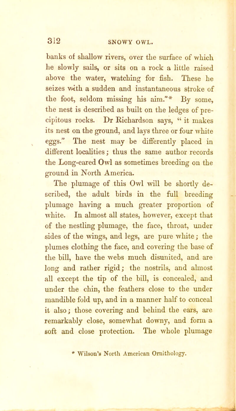 banks of shallow rivers, over the surface of which he slowly sails, or sits on a rock a little raised above the water, watching for fish. These he seizes w-itli a sudden and instantaneous stroke of the foot, seldom missing his aim.”* By some, the nest is described as built on the ledges of pre- cipitous rocks. Dr Richardson says, “ it makes its nest on the ground, and lays three or four white eggs.” The nest may be differently placed in different localities; thus the same author records the Long-eared Owl as sometimes breeding on the ground in North America. The plumage of this Owl will he shortly de- scribed, the adult birds in the full breeding plumage having a much greater proportion of white. In almost all states, however, except that of the nestling plumage, the face, throat, under sides of the wings, and legs, are pure white; the plumes clothing the face, and covering the base of the bill, have the webs much disunited, and are long and rather rigid; the nostrils, and almost all except the tip of the bill, is concealed, and under the chin, the feathers close to the under mandible fold up, and in a manner half to conceal it also; those covering and behind the ears, are remarkably close, somewhat downy, and form a soft and close protection. The whole plumage * Wilson’s North American Ornithology.