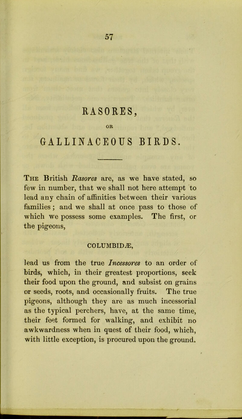 EASORES, OR GALLINACEOUS BIRDS. The British Rasores are, as we have stated, so few in number, that we shall not here attempt to lead any chain of affinities between their various families; and we shall at once pass to those of which we possess some examples. The first, or the pigeons. COLUMBID^, lead us from the true Incessores to an order of birds, which, in their greatest proportions, seek their food upon the ground, and subsist on grains or seeds, roots, and occasionally fruits. The true pigeons, although they are as much incessorial as the typical perchers, have, at the same time, their feet formed for walking, and exhibit no awkwardness when in quest of their food, which, with little exception, is procured upon the ground.