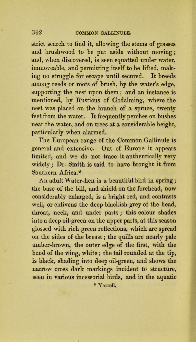 strict search to find it, allowing the stems of grasses and brushwood to be put aside without moving; and, when discovered, is seen squatted under water, immoveable, and permitting itself to be lifted, mak- ing no struggle for escape until secured. It breeds among reeds or roots of brush, by the water’s edge, supporting the nest upon them; and an instance is mentioned, by Rusticus of Godaiming, where the nest was placed on the branch of a spruce, twenty feet from the water. It frequently perches on bushes near the water, and on trees at a considerable height, particularly when alarmed. The European range of the Common Gallinule is general and extensive. Out of Europe it appears limited, and we do not trace it authentically very widely; Dr. Smith is said to have brought it from Southern Africa.* An adult Water-hen is a beautiful bird in spring; the base of the bill, and shield on the forehead, now considerably enlarged, is a bright red, and contrasts well, or enlivens the deep blackish-grey of the head, throat, neck, and under parts; this colour shades into a deep oil-green on the upper parts, at this season glossed with rich green reflections, which are spread on the sides of the breast; the quills are nearly pale umber-brown, the outer edge of the first, with the bend of the wing, white; the tail rounded at the tip, is black, shading into deep oil-green, and shows the narrow cross dark markings incident to structure, seen in various incessorial birds, and in the aquatic * YarrelU