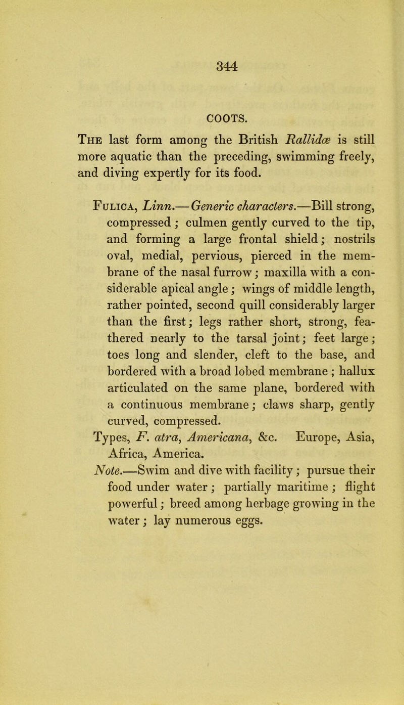 COOTS. The last form among the British Rallidce is still more aquatic than the preceding, swimming freely, and diving expertly for its food. Fulica, Linn.— Generic characters.—Bill strong, compressed; culmen gently curved to the tip, and forming a large frontal shield; nostrils oval, medial, pervious, pierced in the mem- brane of the nasal furrow; maxilla with a con- siderable apical angle; wings of middle length, rather pointed, second quill considerably larger than the first; legs rather short, strong, fea- thered nearly to the tarsal joint; feet large; toes long and slender, cleft to the base, and bordered with a broad lohed membrane ; hallux articulated on the same plane, bordered with a continuous membrane; claws sharp, gently curved, compressed. Types, F. atra, Americana^ &c. Europe, Asia, Africa, America. Note.—Swim and dive with facility; pursue their food under water ; partially maritime ; flight powerful; breed among herbage growing in the ■water; lay numerous eggs.