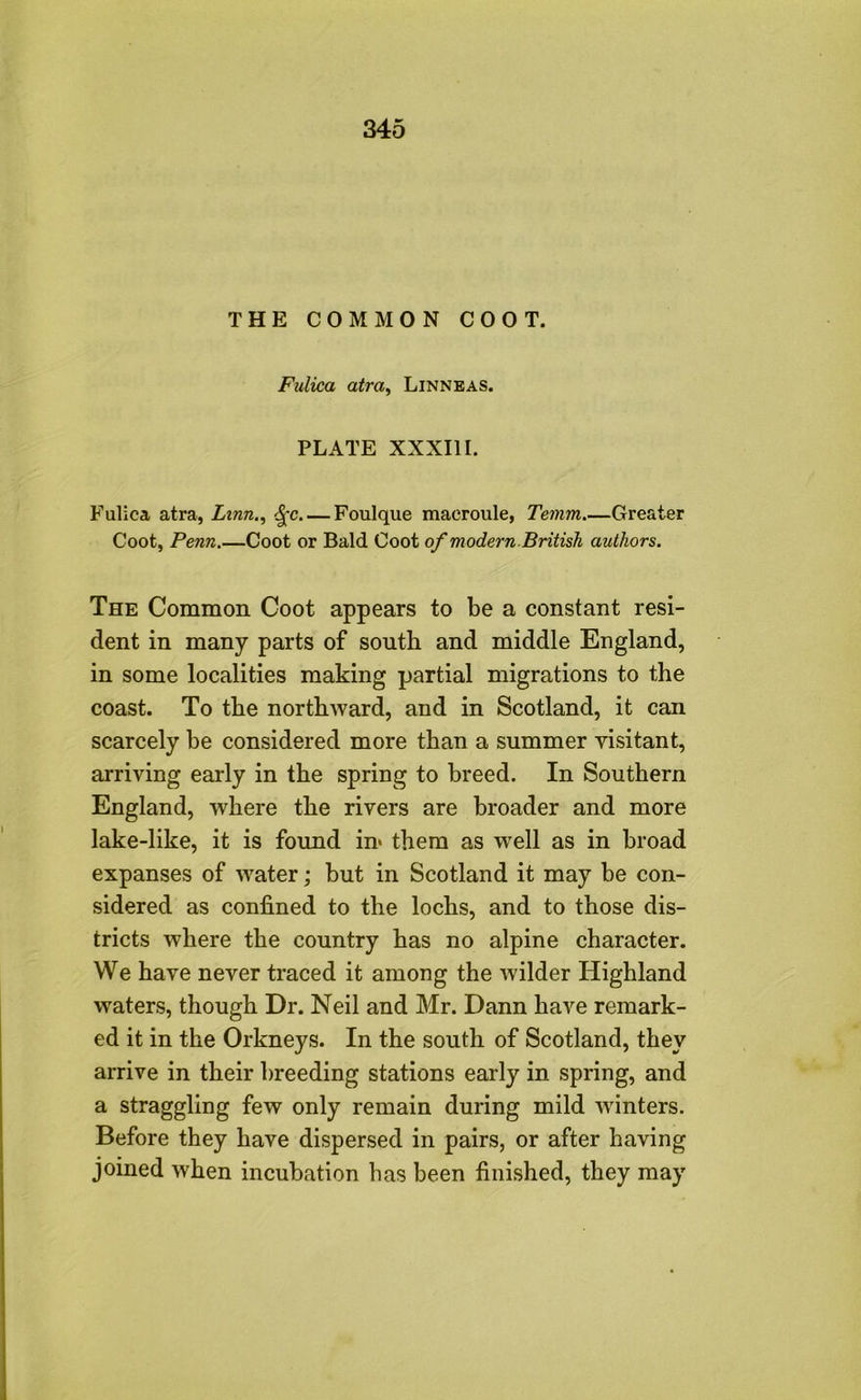 THE COMMON COOT. Fulica atra^ Linnbas. PLATE XXXIII. Fulica atra, Lmn., ^c. — Foulque maeroule, Temm.—Greater Coot, Penn,—Coot or Bald Coot of modern British authors. The Common Coot appears to be a constant resi- dent in many parts of south and middle England, in some localities making partial migrations to the coast. To the northAvard, and in Scotland, it can scarcely be considered more than a summer visitant, arriving early in the spring to breed. In Southern England, where the rivers are broader and more lake-like, it is found in> them as well as in broad expanses of water; but in Scotland it may be con- sidered as confined to the lochs, and to those dis- tricts where the country has no alpine character. We have never traced it among the Avilder Highland waters, though Dr. Neil and Mr. Dann have remark- ed it in the Orkneys. In the south of Scotland, they arrive in their breeding stations early in spring, and a straggling few only remain during mild Avinters. Before they have dispersed in pairs, or after haAdng joined when incubation has been finished, they may