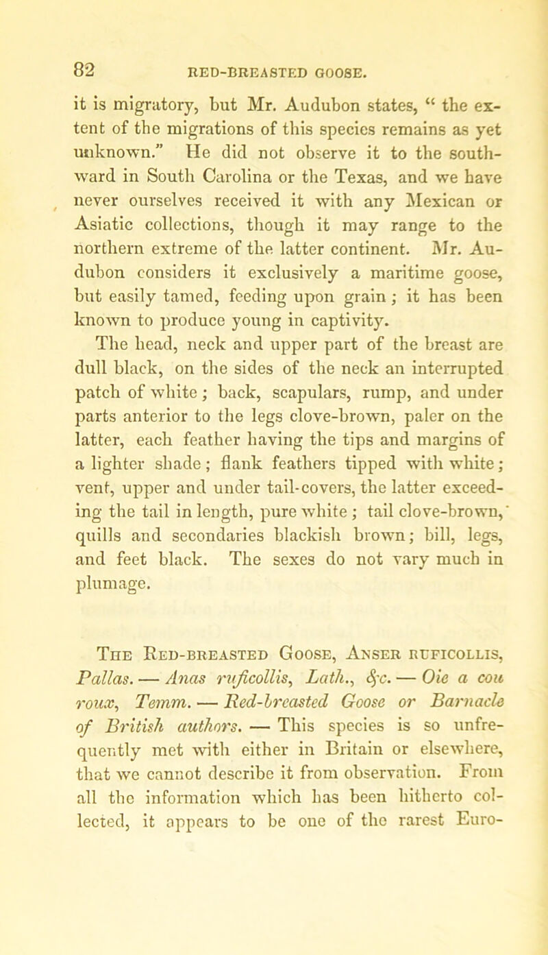 it is migratory, but Mr. Audubon states, “ the ex- tent of the migrations of this species remains as yet unknown.” He did not observe it to the south- ward in South Carolina or the Texas, and we have never ourselves received it with any Mexican or Asiatic collections, though it may range to the northern extreme of the latter continent. Mr. Au- dubon considers it exclusively a maritime goose, but easily tamed, feeding upon grain; it has been known to produce young in captivity. The head, neck and upper part of the breast are dull black, on the sides of the neck an interrupted patch of white; back, scapulars, rump, and under parts anterior to the legs clove-brown, paler on the latter, each feather having the tips and margins of a lighter shade; flank feathers tipped with white; vent, upper and under tail-covers, the latter exceed- ing the tail in length, pure white ; tail clove-brown,' quills and secondaries blackish brown; bill, legs, and feet black. The sexes do not vary much in plumage. The Red-breasted Goose, Anser ruficollis, Pallas. — Anas ruficollis, Lath., 8>~c. — Oic a cou roux, Tamm. — Red-hrcasted Goose or Barnacle of British authors. — This species is so unfre- quently met with either in Britain or elsewhere, that we cannot describe it from observation. From all the information which has been hitherto col- lected, it appears to be one of the rarest Euro-