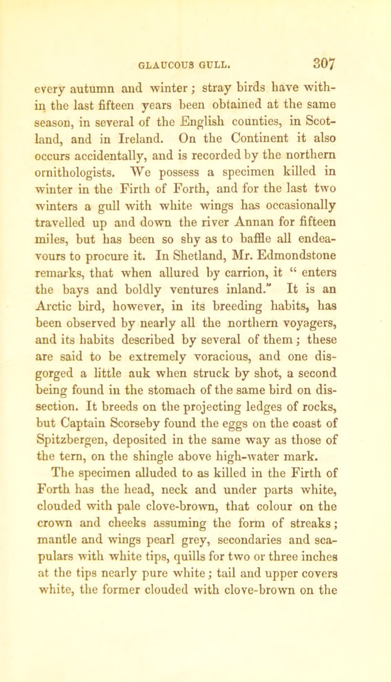 every autumn and winter; stray birds have with- in the last fifteen years been obtained at the same season, in several of the English counties, in Scot- land, and in Ireland. On the Continent it also occurs accidentally, and is recorded by the northern ornithologists. We possess a specimen killed in winter in the Firth of Forth, and for the last two winters a gull with white wings has occasionally travelled up and down the river Annan for fifteen miles, but has been so shy as to baffle all endea- vours to procure it. In Shetland, Mr. Edmondstone remarks, that when allured by carrion, it “ enters the bays and boldly ventures inland.” It is an Arctic bird, however, in its breeding habits, has been observed by nearly all the northern voyagers, and its habits described by several of them; these are said to be extremely voracious, and one dis- gorged a little auk when struck by shot, a second being found in the stomach of the same bird on dis- section. It breeds on the projecting ledges of rocks, but Captain Scorseby found the eggs on the coast of Spitzbergen, deposited in the same way as those of the tern, on the shingle above high-water mark. The specimen alluded to as killed in the Firth of Forth has the head, neck and under parts white, clouded with pale clove-brown, that colour on the crown and cheeks assuming the form of streaks; mantle and wings pearl grey, secondaries and sca- pulars with white tips, quills for two or three inches at the tips nearly pure white; tail and upper covers white, the former clouded with clove-brown on the