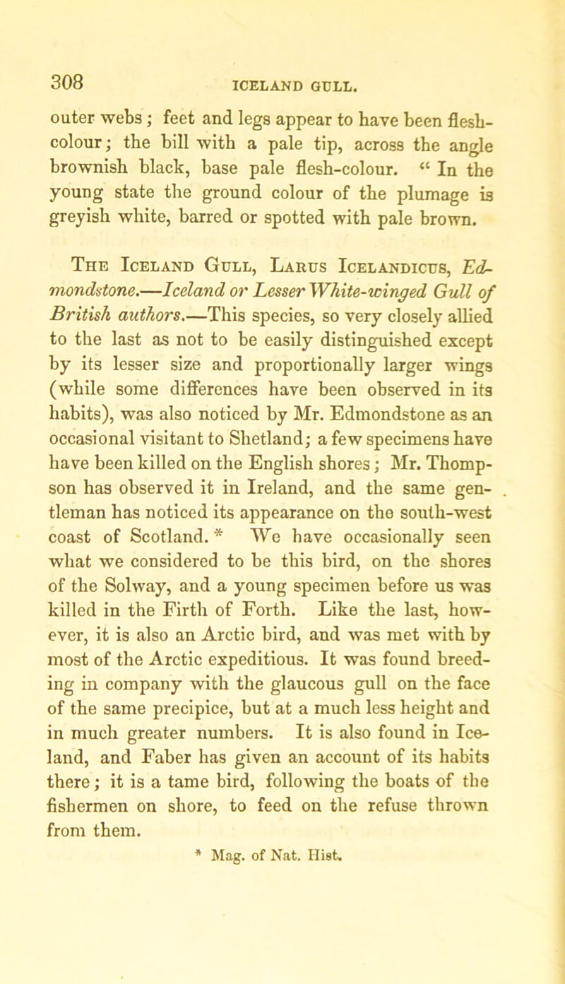 ICELAND GULL. outer webs; feet and legs appear to have been flesh- colour; the bill with a pale tip, across the angle brownish black, base pale flesh-colour. “ In the young state the ground colour of the plumage is greyish white, barred or spotted with pale brown. The Iceland Gull, Larus Icelandicus, Ed- monds tone.—Iceland or Lesser White-winged Gull of British authors.—This species, so very closely allied to the last as not to be easily distinguished except by its lesser size and proportionally larger wings (while some differences have been observed in its habits), was also noticed by Mr. Edmondstone as an occasional visitant to Shetland; a few specimens have have been killed on the English shores; Mr. Thomp- son has observed it in Ireland, and the same gen- tleman has noticed its appearance on the south-west coast of Scotland.* We have occasionally seen what we considered to be this bird, on the shores of the Solway, and a young specimen before us was killed in the Firth of Forth. Like the last, how- ever, it is also an Arctic bird, and was met with by most of the Arctic expeditious. It was found breed- ing in company with the glaucous gull on the face of the same precipice, but at a much less height and in much greater numbers. It is also found in Ice- land, and Faber has given an account of its habits there; it is a tame bird, following the boats of the fishermen on shore, to feed on the refuse thrown from them. Mag. of Nat. Hist.