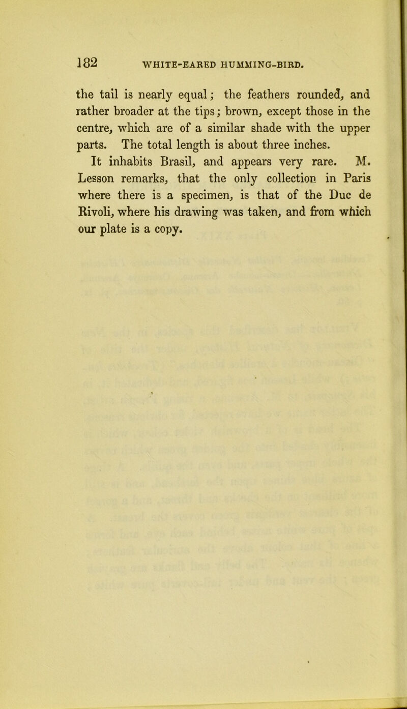 182 the tail is nearly equal; the feathers rounded, and rather broader at the tips; brown, except those in the centre, which are of a similar shade with the upper parts. The total length is about three inches. It inhabits Brasil, and appears very rare. M. Lesson remarks, that the only collection in Paris where there is a specimen, is that of the Due de Rivoli, where his drawing was taken, and from which our plate is a copy.