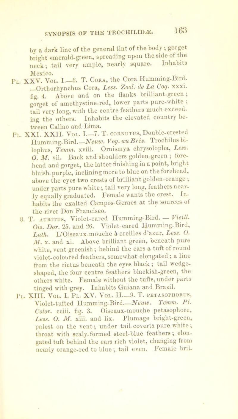 by a dark line of the general tint of the body; gorget bright emerald-green, spreading upon the side of the neck; tail very ample, nearly square. Inhabits Mexico. Pl. XXV. Vol. I.—6. T. Cora, the Cora Humming-Bird. Orthorhynchus Cora, Less. Zoo/, de La Coq. xxxi. fig. 4. Above and on the flanks brilliant-green ; gorget of amethvstine-red, lower parts pure-white ; tail very long, with the centre feathers much exceed- ing the others. Inhabits the elevated country be- tween Callao and Lima. Pl. XXI. XXII. Vol. I 7. T. cornutus, Double-crested PIumming-Bird.—Neuw. Voy.au Pres. Trochilusbi- lophus, Ternm. xviii. Ornismya chrysolopha, Less. O. M. vii. Back and shoulders golden-green ; fore- head and gorget, the latter finishing in a point, bright bluish-purple, inclining more to blue on the forehead, above the eyes two crests of brilliant golden-orange ; under parts pure white; tail very long, feathers near- ly equally graduated. Female wants the crest. In- habits the exalted Campos-Gcraes at the sources of the river Don Francisco. 8. T. auritus, Violet-eared Humming-Bird Vieill. Ois. Dor. 25. and 26. Violet-eared Humming-Bird, Lath. L'Oiseaux-mouche h oreilles d’azur, Less. O. M. x. and xi. Above brilliant green, beneath pure white, vent greenish; behind the ears a tuft of round violet-coloured feathers, somewhat elongated ; a line from the rictus beneath the eyes black; tail wedge- shaped, the four centre feathers blackish-green, the others white. Female without the tufts, under parts tinged with grey. Inhabits Guiana and Brazil. Pl. XIII. Vol. I. Pl. XV. Vol. II—9. T. fetasophorus, Violet-tufted Humming-Bird—Neuw. Temm. Pl. Color, cciii. fig. 3. Oiseaux-mouche petasophore. Less. O. M. xiii. and lix. Plumage bright-green, palest on the vent; under tail-coverts pure white; throat with scaly-formed steel-blue feathers ; elon- gated tuft behind the ears rich violet, changing from nearly orange-red to blue ; tail even. Female bril-