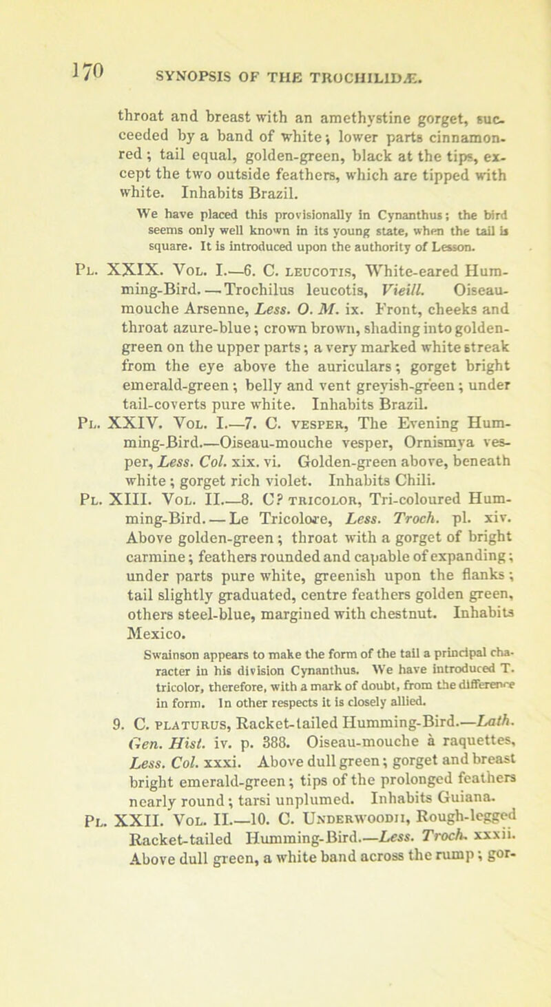 throat and breast with an amethystine gorget, suc- ceeded by a band of white; lower parts cinnamon- red ; tail equal, golden-green, black at the tips, ex- cept the two outside feathers, which are tipped with white. Inhabits Brazil. We have placed this provisionally in Cynanthus; the bird seems only well known in its young state, when the tail is square. It is introduced upon the authority of Lesson. Pl. XXIX. Vol. I.—6. C. leucotis. White-eared Hum- ming-Bird— Trochilus leucotis, Vieill. Oiseau- mouche Arsenne, Less. O. M. ix. Front, cheeks and throat azure-blue; crown brown, shading into golden- green on the upper parts; a very marked white streak from the eye above the auriculars; gorget bright emerald-green ; belly and vent grevish-gr'een; under tail-coverts pure white. Inhabits Brazil. Pl. XXIV. Vol. I.—7. C. vesper, The Evening Hum- ming-Bird.—Oiseau-mouche vesper, Ornismva ves- per, Less. Col. xix. vL Golden-green above, beneath white ; gorget rich violet. Inhabits Chili. Pl. XIII. Vol. II—8. C? tricolor. Tri-coloured Hum- ming-Bird Le Tricolcwe, Less. Troch. pl. xiv. Above golden-green; throat with a gorget of bright carmine; feathers rounded and capable of expanding; under parts pure white, greenish upon the flanks; tail slightly graduated, centre feathers golden green, others steel-blue, margined with chestnut. Inhabits Mexico. Swainson appears to make the form of the tail a principal cha- racter in his division Cynanthus. We have introduced T. tricolor, therefore, with a mark of doubt, from the difference in form. In other respects it is closely allied. 9. C. platurus, Racket-tailed Humming-Bird.—Lath. Gen. Hist. iv. p. 388. Oiseau-mouche a raquettes. Less. Col. xxxi. Above dull green; gorget and breast bright emerald-green; tips of the prolonged feathers nearly round; tarsi unplumed. Inhabits Guiana. Pl. XXII. Vol. II 10. C. Underwoodii, Rough-legged Racket-tailed Humming-Bird.—Less. Troch. xxxii. Above dull green, a white band across the rumpgot-