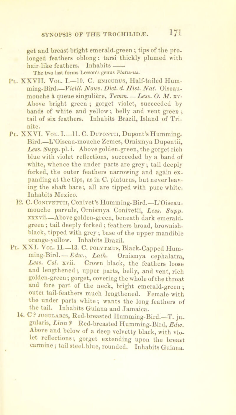 get and breast bright emerald-green ; tips of the pro- longed feathers oblong: tarsi thickly plumed with hair-like feathers. Inhabits The two last forms Lesson’s genus Platurus. Pl. XXVII. Vol. I.—10. C. enicurus. Half-tailed Hum- ming-Bird.—Vieill. Nouv. Diet. d. Hist. Nat. Oiseau- mouche a queue singuliere, Temm Less. O. M. xv- Above bright green ; gorget violet, succeeded by bands of white and yellow; belly and vent green , tail of six feathers. Inhabits Brazil, Island of Tri- nite. Pl. XXVI. Vol. I—11. C. Dupontii, Dupont's Humming- Bird.—L’Oiseau-mouche Zemes, Omismya Dupontii, Less. Supp. pl. i. Above golden-green, the gorget rich blue with violet reflections, succeeded by a band of white, whence the under parts are grey; tail deeply forked, the outer feathers narrowing and again ex- panding at the tips, as in C. platurus, but never leav- ing the shaft bare; all are tipped with pure white. Inhabits Mexico. 12. C. Conivettii, Conivet’s Humming-Bird L’Oiseau- mouche parvule, Ornismya Conivetii, Less. Supp. xxxvii—Above golden-green, beneath dark emerald- green ; tail deeply forked; feathers broad, brownish- black, tipped with grey; base of the upper mandible orange-yellow. Inhabits Brazil. Pl. XXI. Vol. II—13. C. polytmus, Black-Capped Hum- ming-Bird.— Edw., Lath. Ornismya cephalatra, Less. Col. xvii. Crown black, the feathers loose and lengthened; upper parts, belly, and vent, rich golden-green; gorget, covering the whole of the throat and fore part of the neck, bright emerald-green; outei tail-feathers much lengthened. Female with the under parts white; wants the long feathers of the tail. Inhabits Guiana and Jamaica. 14. C ? jugularls, Red-breasted Humming-Bird T. ju- gularis, Linn ? Red-breasted Humming-Bird, Edw. Above and below of a deep velvetty black, with vio- let reflections; gorget extending upon the breast carmine ; tail steel-blue, rounded. Inhabits Guiana.