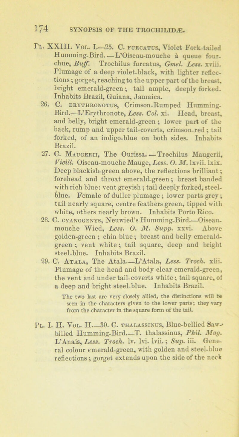 Fl. XXIII. Vol. I—25. C. furcates, Violet Fork-tailed Humming-Bird. — L’Oiseau-mouche a queue four- chue, Buff. Trochilus furcatus, Gmel. Less, xviii. Plumage of a deep violet-black, with lighter reflec- tions ; gorget, reaching to the upper part of the breast, bright emerald-green; tail ample, deeply forked. Inhabits Brazil, Guiana, Jamaica. 26. C. erythronotus, Crimson-Rumped Humming- Bird.—L’Ervthronote, Less. Col. xi. Head, breast, and belly, bright emerald-green ; lower part of the back, rump and upper tail-coverts, crimson-red; tail forked, of an indigo-blue on both sides. Inhabits Brazil. 27. C. Maugerii, The Ourissa.—Trochilus Maugerii, Vieill. Oiseau-mouche Mauge, Less. O. M. lxvii. lxix. Deep blackish-green above, the reflections brilliant; forehead and throat emerald-green; breast banded with rich blue: vent greyish; tail deeply forked, steel- blue. Female of duller plumage ; lower parts grey; tail nearly square, centre feathers green, tipped with white, others nearly brown. Inhabits Porto Rico. 28. C. cyanogenys, Neuwied’s Humming-Bird Oiseau- mouche Wied, Less. O. M. Supp. xxvi. Above golden-green ; chin blue; breast and belly emerald- green ; vent white; tail square, deep and bright steel-blue. Inhabits Brazil. 29. C. Atala, The Atala—L’Atala, Less. Troch. xlii. Plumage of the head and body clear emerald-green, the vent and under tail-coverts white; tail square, of a deep and bright steel-blue. Inhabits Brazil. The two last are very closely allied, the distinctions will be seen in the characters given to the lower parts; they vary from the character in the square form of the tail. Pl. I. II. Vol. II 30. C. thalassinus, Blue-bellied Saw-* billed Humming-Bird.—T. thalassinus, Phil. Mag. L’Anais, Less. Troch. lv. lvi. lvii.; Sup. iii. Gene- ral colour emerald-green, with golden and steel-blue reflections ; gorget extends upon the side of the neck