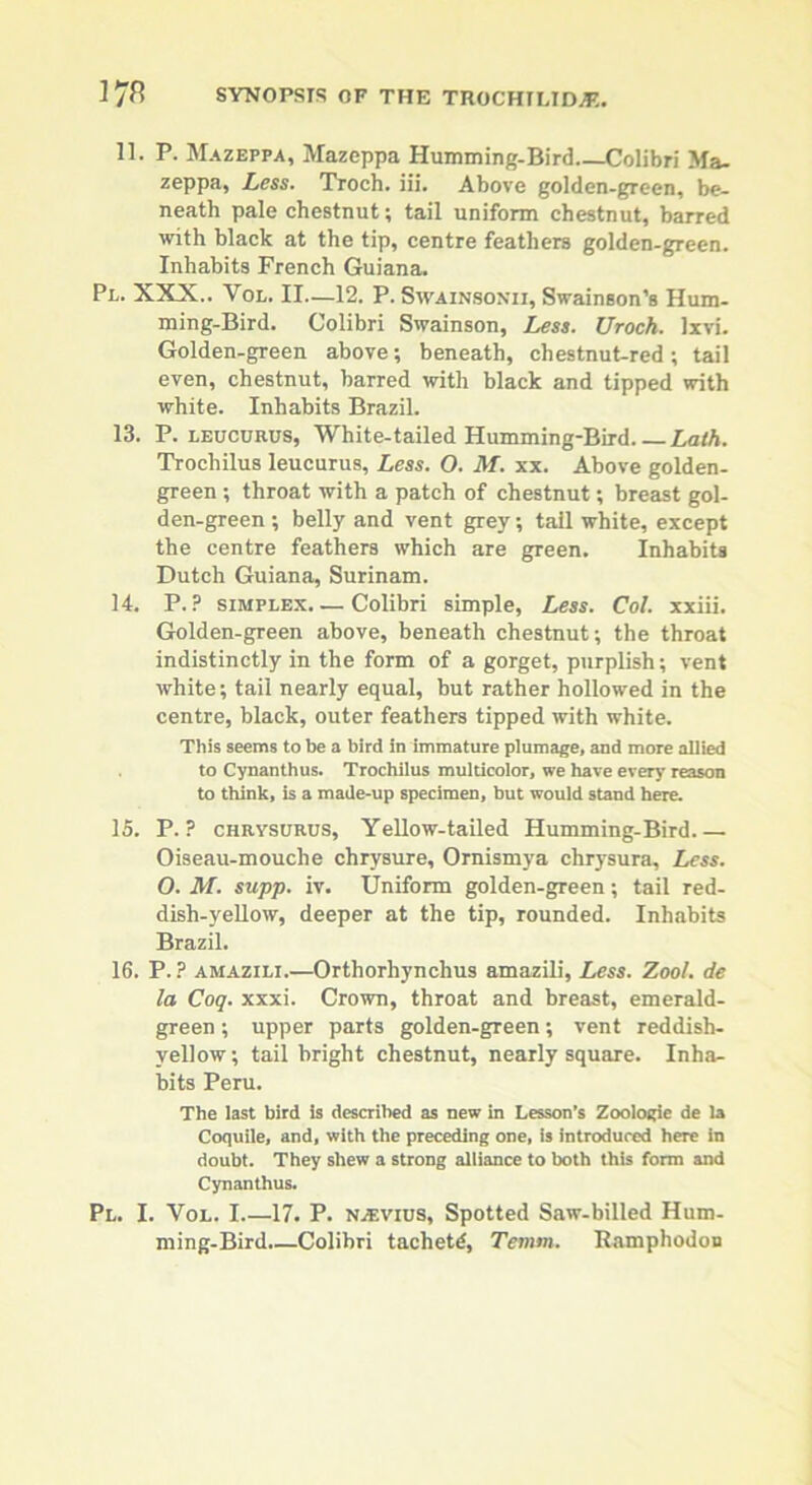 11. P. Mazeppa, Mazeppa Humming-Bird Colibri Ma- zeppa, Less. Troch. iii. Above golden-green, be- neath pale chestnut; tail uniform chestnut, barred with black at the tip, centre feathers golden-green. Inhabits French Guiana. Pl. XXX.. Vol. II—12. P. Swainsonii, Swainson’s Hum- ming-Bird. Colibri Swainson, Less. Uroch. Ixvi. Golden-green above; beneath, chestnut-red; tail even, chestnut, barred with black and tipped with white. Inhabits Brazil. 13. P. leucurus, White-tailed Humming-Bird Lath. Trochilus leucurus, Less. O. M. xx. Above golden- green ; throat with a patch of chestnut; breast gol- den-green; belly and vent grey, tall white, except the centre feathers which are green. Inhabits Dutch Guiana, Surinam. 14. P. ? simplex Colibri simple, Less. Col. xxiii. Golden-green above, beneath chestnut; the throat indistinctly in the form of a gorget, purplish; vent white; tail nearly equal, but rather hollowed in the centre, black, outer feathers tipped with white. This seems to be a bird in immature plumage, and more allied to Cynanthus. Trochilus multicolor, we have every reason to think, is a made-up specimen, but would stand here. 15. P. ? chrysurus, Yellow-tailed Humming-Bird Oiseau-mouche chrysure, Ornismya chrysura. Less. O. M. supp. iv. Uniform golden-green; tail red- dish-yellow, deeper at the tip, rounded. Inhabits Brazil. 16. P. ? amazili.—Orthorhynchus amazili, Less. Zoo/, de la Coq. xxxi. Crown, throat and breast, emerald- green ; upper parts golden-green; vent reddish- yellow; tail bright chestnut, nearly square. Inha- bits Peru. The last bird is described as new in Lesson’s Zoologie de la Coquile, and, with the preceding one, is introduced here in doubt. They shew a strong alliance to both this form and Cynanthus. Pl. I. Vol. I 17. P. ilevius, Spotted Saw-billed Hum- ming-Bird.—Colibri tachetd, Temm. Ramphodon