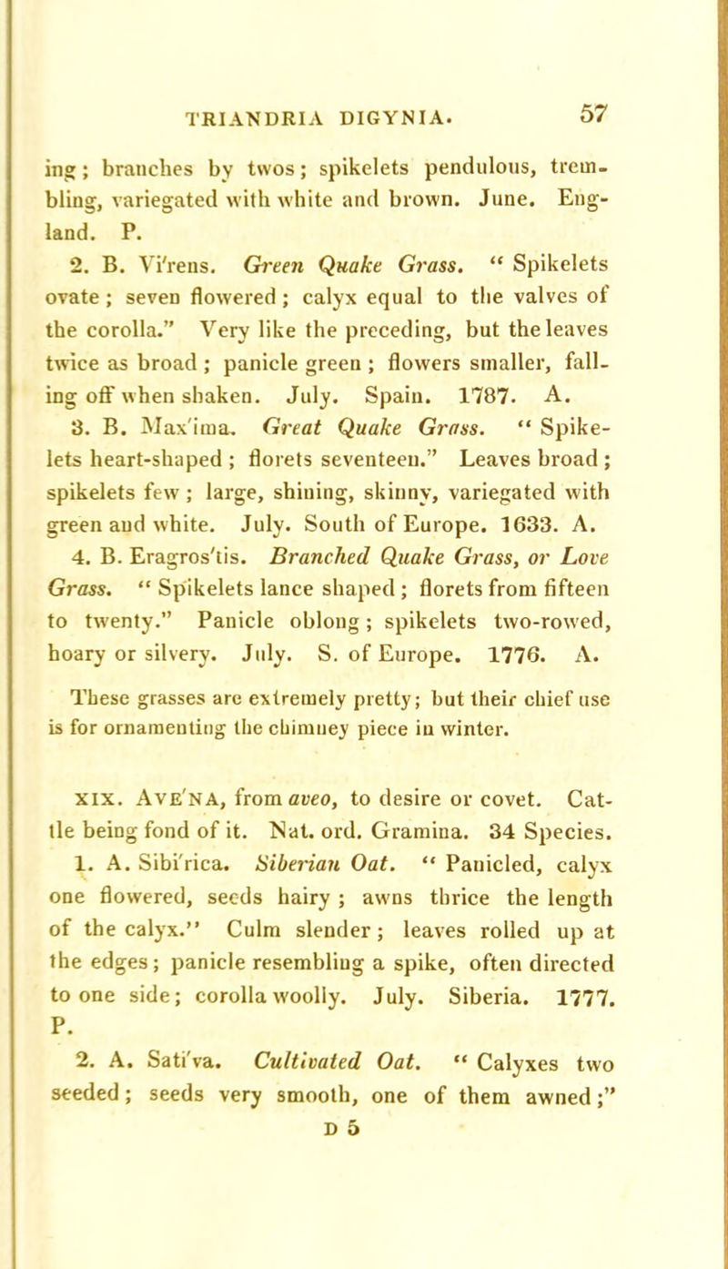 ing ; branches by twos; spikelets pendulous, trem- bling, variegated with white and brown. June. Eng- land. P. 2. B. Vi'rens. Green Quake Grass. “ Spikelets ovate; seven flowered ; calyx equal to the valves of the corolla.” Very like the preceding, but the leaves twice as broad ; panicle green ; flowers smaller, fall- ing off when shaken. July. Spain. 1787. A. 3. B. Max'ima, Great Quake Grass. “ Spike- lets heart-shaped ; florets seventeen.” Leaves broad ; spikelets few ; large, shining, skinny, variegated with green and white. July. South of Europe. 1633. A. 4. B. Eragros'lis. Branched Quake Grass, or Love Grass. “ Spikelets lance shaped ; florets from fifteen to twenty.” Panicle oblong; spikelets two-rowed, hoary or silvery. July. S. of Europe. 1776. A. These grasses are extremely pretty; but their chief use is for ornamenting the chimney piece iu winter. XIX. Ave'na, from flueo, to desire or covet. Cat- tle being fond of it. Nat. ord. Gramina. 34 Species. 1. A. Sibi'rica. Sibeidan Oat. “ Panicled, calyx one flowered, seeds hairy ; awns thrice the length of the calyx.” Culm slender; leaves rolled up at the edges; panicle resembling a spike, often directed to one side; corolla woolly. July. Siberia. 1777. P. 2. A. Sati'va. Cultivated Oat. “ Calyxes two seeded; seeds very smooth, one of them awned;”