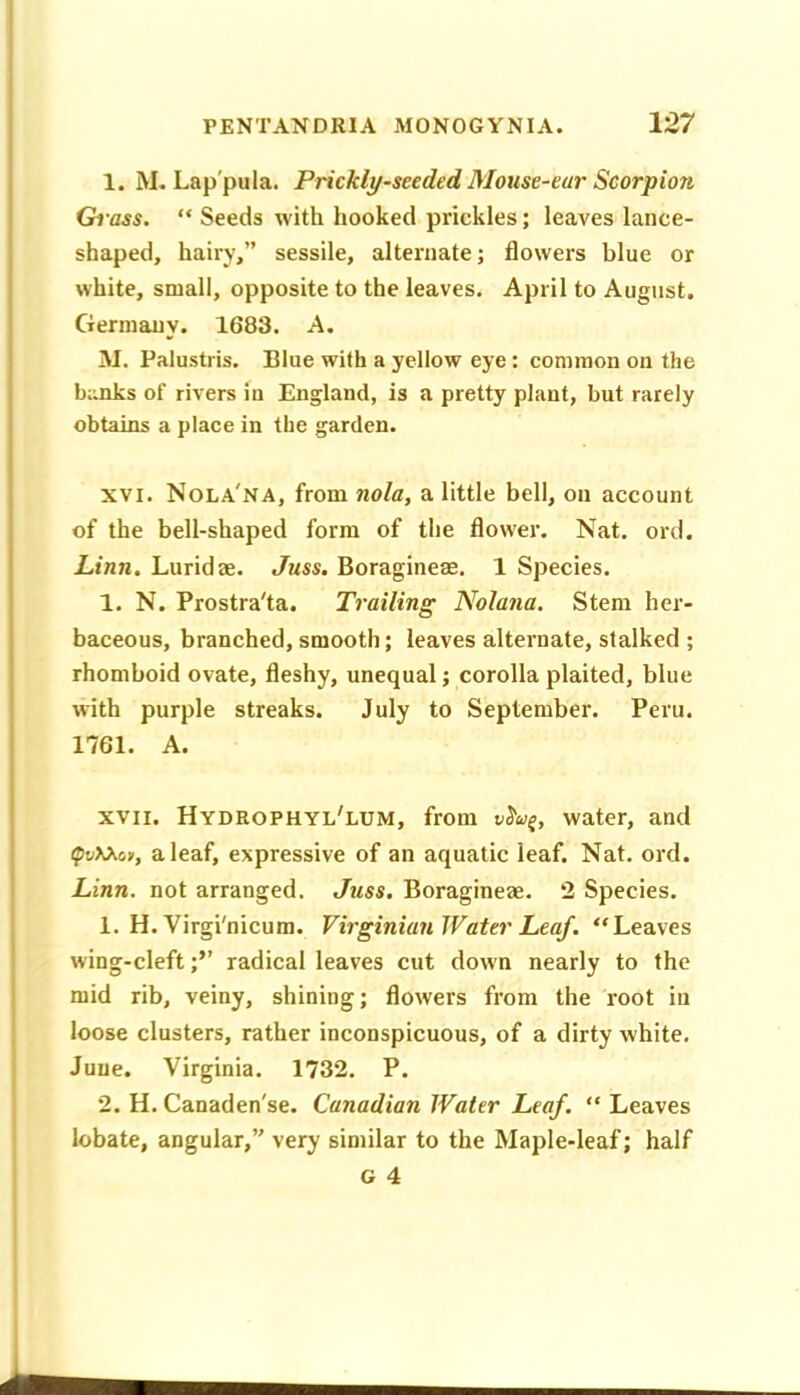 1. M. Lap'pula. Prickly-seeded Mouse-ear Scorpion Gi-ass. “ Seeds with iiooked prickles; leaves lance- shaped, hairy,” sessile, alternate; flowers blue or white, small, opposite to the leaves. April to August. Gerinauy. 1683. A. M. Palustris. Blue with a yellow eye: common on the banks of rivers in England, is a pretty plant, but rarely obtains a place in the garden. XVI. Nola'na, from nola, a little bell, on account of the bell-shaped form of the flower. Nat. ord. Linn. Lurid ae. Juss. Boragineae. 1 Species. 1. N. Prostra'ta. Trailing Nolana. Stem her- baceous, branched, smooth; leaves alternate, stalked ; rhomboid ovate, fleshy, unequal; corolla plaited, blue with purple streaks. July to September. Peru. 1761. A. XVII. Hydrophyl'lum, from v^u^, water, and (pvXXof, a leaf, expressive of an aquatic leaf. Nat. ord. Linn, not arranged. Juss. Boragineae. 2 Species. 1. H. Virgi'nicum. Virginian Water Leaf. “Leaves wing-cleftradical leaves cut down nearly to the mid rib, veiny, shining; flowers from the root in loose clusters, rather inconspicuous, of a dirty white. Juue. Virginia. 1732. P. 2. H. Canaden'se. Canadian Water Leaf. “ Leaves lobate, angular,” very similar to the Maple-leaf; half