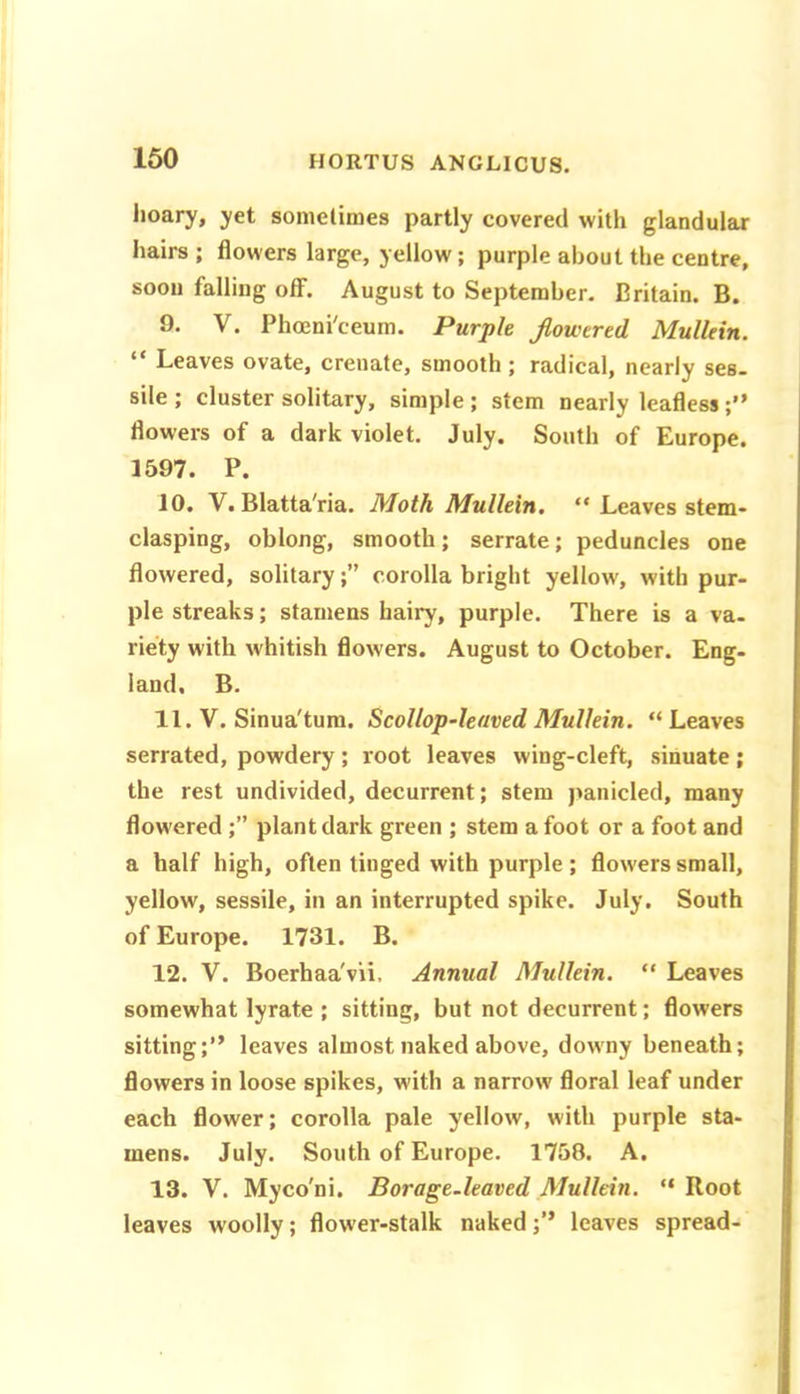 lioary, yet somelimes partly covered with glandular hairs ; flowers large, yellow; purple about the centre, soon falling off. August to September. Britain. B. 9. V. Phoeni'ceum. Purple jiowtred Mullein. “ Leaves ovate, creuate, smooth ; radical, nearly ses. sile ; cluster solitary, simple ; stem nearly leafless flowers of a dark violet. July, South of Europe. 1597. P. 10. V. BlattaVia. Moth Mullein, “ Leaves stem* clasping, oblong, smooth; serrate; peduncles one flowered, solitary; corolla bright yellow, with pur- ple streaks; stamens hairy, purple. There is a va- riety with whitish flowers. August to October. Eng- land, B. 11. V. Sinua'tum. Scollop-leaved Mullein. “ Leaves serrated, powdery; root leaves wing-cleft, sinuate; the rest undivided, decurrent; stem panicled, many flowered;” plant dark green ; stem afoot or a foot and a half high, often tinged with purple; flowers small, yellow, sessile, in an interrupted spike. July. South of Europe. 1731. B. 12. V. Boerhaa'vii. Annual Mullein. “ Leaves somewhat lyrate ; sitting, but not decurrent; flowers sitting;” leaves almost naked above, downy beneath; flowers in loose spikes, with a narrow floral leaf under each flower; corolla pale yellow, with purple sta- mens. July. South of Europe. 1758. A. 13. V. Myco'ni. Borage.leaved Mullein. ” Root leaves woolly; flower-stalk naked;” leaves spread-