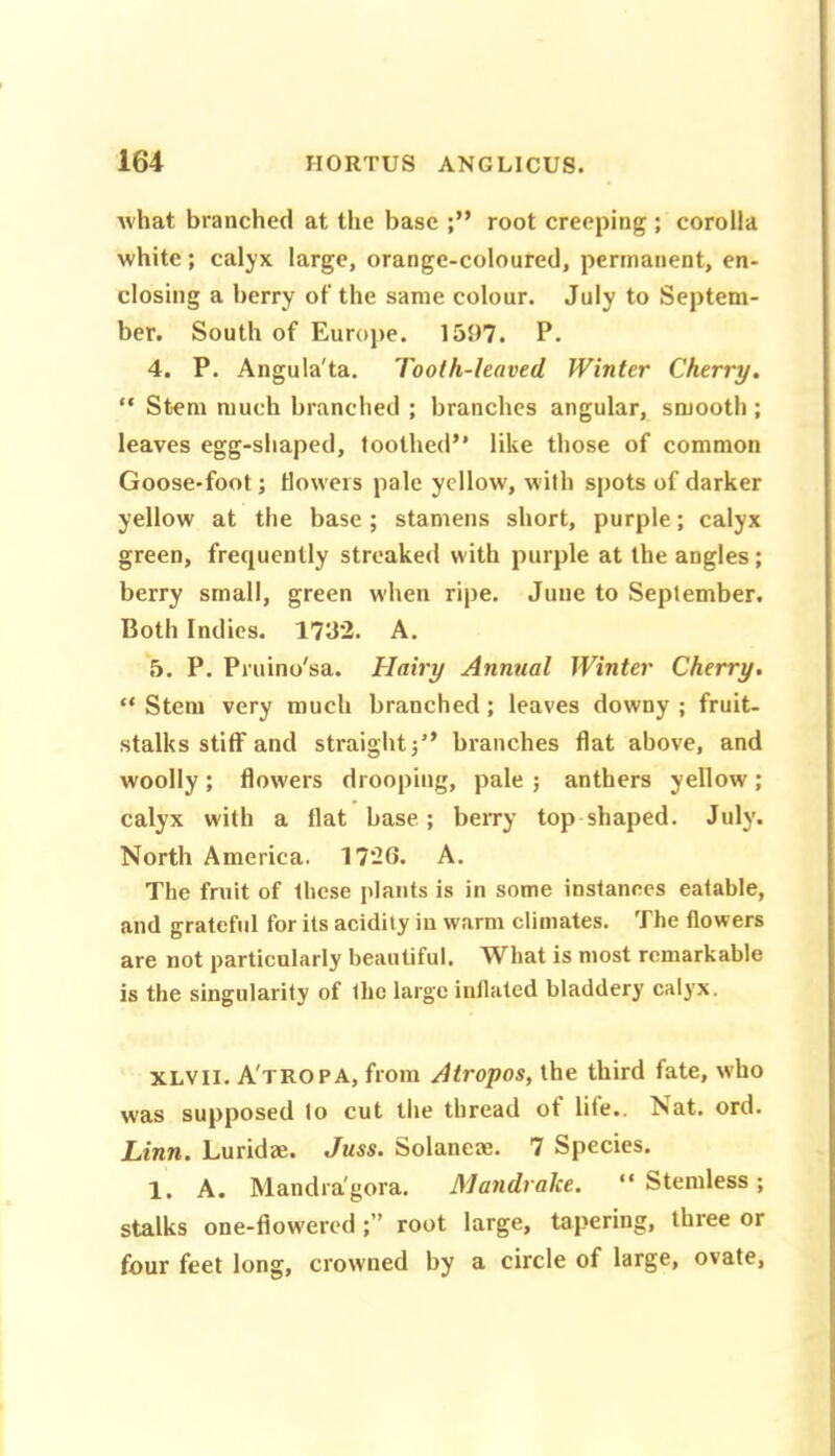 what branched at the base root creeping ; corolla white; calyx large, orange-coloured, permanent, en- closing a berry of the same colour. July to Septem- ber. South of Euroj)e. 1597. P. 4. P. Angula'ta. Tooth-leaved Winter Cherry. “ Stem much branched ; branches angular, smooth ; leaves egg-shaped, toothed” like those of common Goose-foot; tlowers pale yellow, with spots of darker yellow at the base; stamens short, purple; calyx green, frequently streaked with purple at the angles; berry small, green when ripe. June to September. Both Indies. 1732. A. 5. P. Pruino'sa. Hairy Annual Winter Cherry, “ Stem very much branched; leaves downy ; fruit- stalks stiff and straight;” branches flat above, and woolly; flowers drooping, pale ; anthers yellow; calyx with a flat base; berry top shaped. July. North America. 1726. A. The fruit of these plants is in some instances eatable, and grateful for its acidity in warm climates. The flowers are not particularly beautiful. What is most remarkable is the singularity of the large inflated bladdery calyx. XLVII. A'tropa, from Airopos, the third fate, who was supposed lo cut the thread ot life.. Nat. ord. Linn. Luridae. Juss. Solaneae. 7 Species. 1. A. Mandra'gora. Mandrake. ” Stemless; stalks one-flowered ;” root large, tapering, three or four feet long, crowned by a circle of large, ovate.