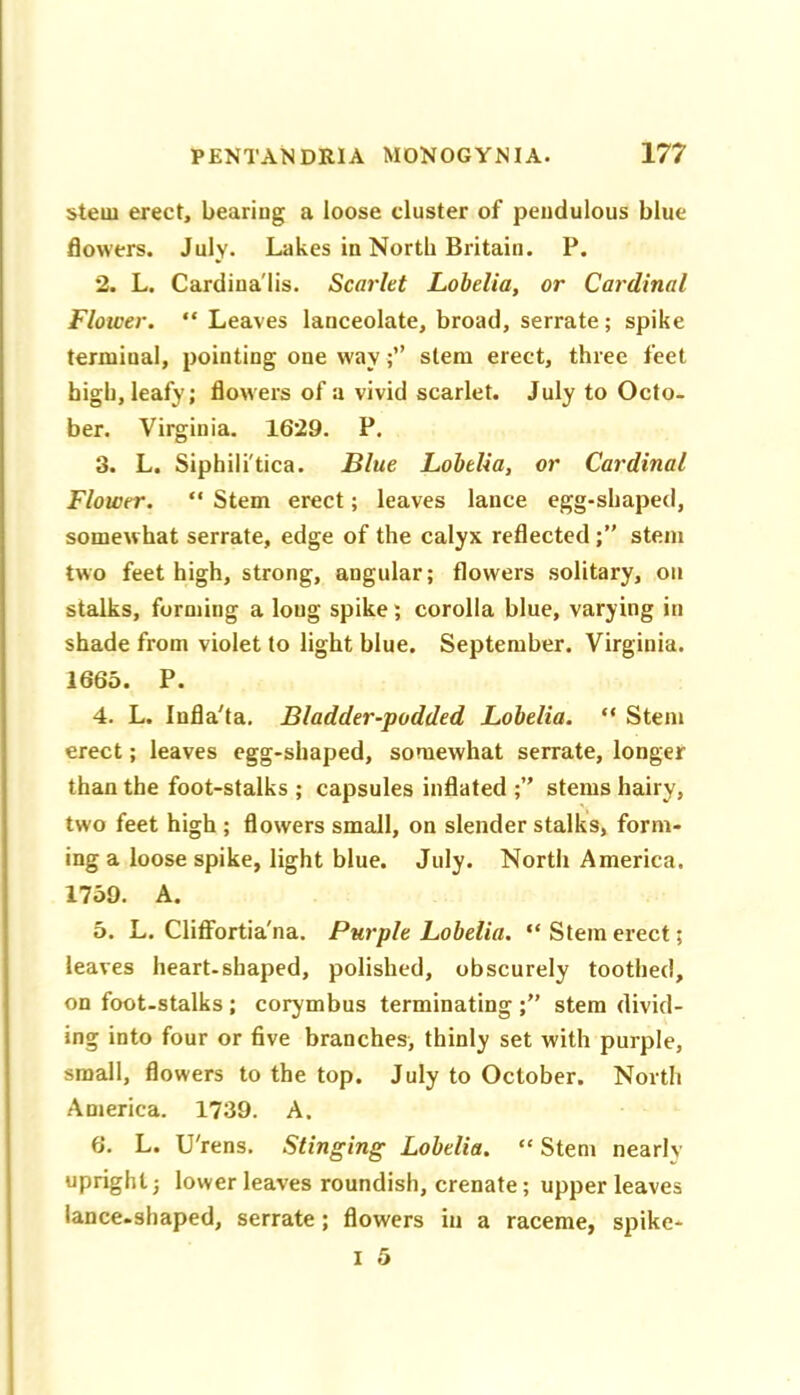 stem erect, bearing a loose cluster of pendulous blue flowers. July. Lakes in North Britain. P. 2. L. Cardina'lis. Scarlet Lobelia, or Cardinal Flower. “Leaves lanceolate, broad, serrate; spike terminal, pointing one waystem erect, three feet high, leafy; flowers of a vivid scarlet. July to Octo- ber. Virginia. 1629. P. 3. L. Siphili'tica. Blue Lobelia, or Cardinal Flower. “ Stem erect; leaves lance egg-shaped, somewhat serrate, edge of the calyx reflectedstem two feet high, strong, angular; flowers solitary, on stalks, forming a loug spike; corolla blue, varying in shade from violet to light blue, September. Virginia. 1665. P. 4. L. Infla'ta. Bladder-podded Lobelia. “ Stem erect; leaves egg-shaped, somewhat serrate, longer than the foot-stalks ; capsules inflated stems hairy, two feet high ; flowers small, on slender stalks, form- ing a loose spike, light blue. July. North America. 1759. A. 5. L. CliflFortia'na. Purple Lobelia. “ Stem erect; leaves heart-shaped, polished, obscurely toothed, on foot-stalks ; corymbus terminating ;” stem divid- ing into four or five branches, thinly set with purple, small, flowers to the top. July to October. North America. 1739. A. 6. L. U'rens. Stinging Lobelia. “ Stem nearly upright; lower leaves roundish, crenate; upper leaves lance.shaped, serrate; flowers in a raceme, spike-