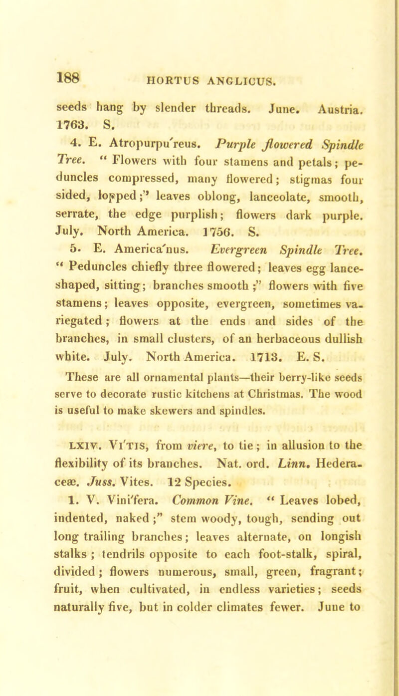 seeds hang by slender threads. June. Austria. 1763. S. 4. E. Atropurpu^reus. Purple Jlowered Spindle Tree. “ Flowers with four stamens and petals; pe- duncles compressed, many flowered; stigmas four sided, lopped leaves oblong, lanceolate, smooth, serrate, the edge purplish; flowers dark purple. July, North America. 1756. S. 5. E. America'nus. Evergreen Spindle Tree. “ Peduncles chiefly three flowered; leaves egg lance- shaped, sitting; branches smooth flowers with five stamens; leaves opposite, evergreen, sometimes va- riegated ; flowers at the ends and sides of the branches, in small clusters, of an herbaceous dullish white. July, North America. 1713. E. S. These are all ornamental plants—their berry-like seeds serve to decorate rustic kitchens at Christmas. The wood is useful to make skewers and spindles. LXlv. Vi'tis, from viere, to tie; in allusion to the flexibility of its branches. Nat. ord. Linn. Hedera- ceae. Juss. Vites. 12 Species. ; 1. V. Vini'fera. Common Vine, “ Leaves lobed, indented, naked;” stem woody, tough, sending out long trailing branches; leaves alternate, on longish stalks ; tendrils opposite to each foot-stalk, spiral, divided ; flowers numerous, small, green, fragrant; fruit, when cultivated, in endless varieties; seeds naturally five, but in colder climates fewer. June to