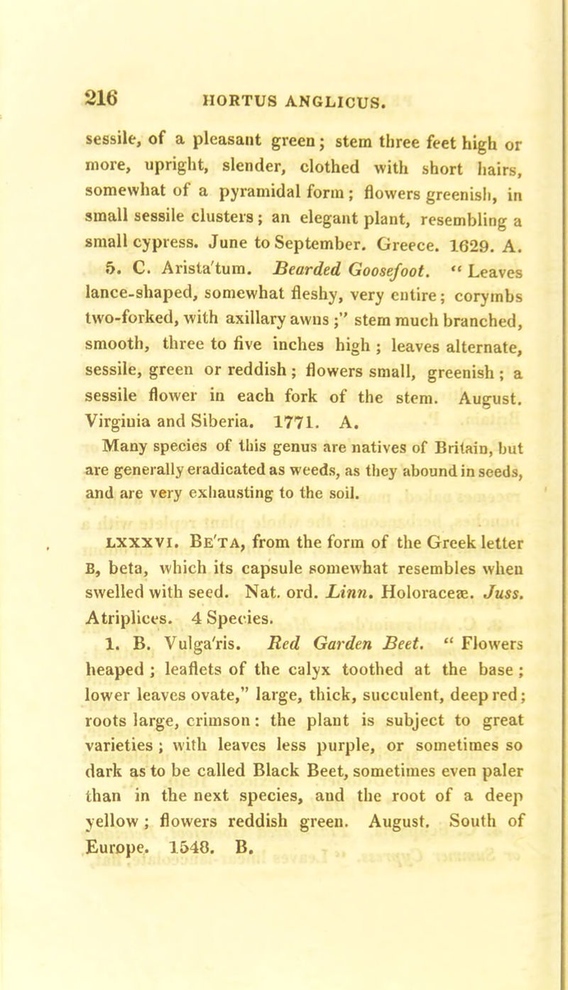 sessile, of a pleasant green; stem tliree feet high or more, upright, slender, clothed with short liairs, somewhat of a pyramidal form ; flowers greenisli, in small sessile clusters; an elegant plant, resembling a small cypress. June to September. Greece. 1629. A. 5. C. Arista'tum. Bearded Goosefoot. “ Leaves lance-shaped, somewhat fleshy, very entire; corymbs two-forked, with axillary awns stem much branched, smooth, three to five inches high ; leaves alternate, sessile, green or reddish; flowers small, greenish ; a sessile flower in each fork of the stem. August. Virginia and Siberia. 1771. A, Many species of this genus are natives of Britain, but are generally eradicated as weeds, as they abound in seeds, and are very exhau.sting to the soil. LXXXVI. Be'ta, from the form of the Greek letter B, beta, which its capsule somewhat resembles when swelled with seed. Nat. ord. Linn. Holoraceje. Juss, Atriplices. 4 Species. 1. B. Vulga'rls. Red Garden Beet. “ Flowers heaped ; leaflets of the calyx toothed at the base ; lower leaves ovate,” large, thick, succulent, deep red; roots large, crimson: the plant is subject to great varieties ; with leaves less purple, or sometimes so dark as to be called Black Beet, sometimes even paler than in the next species, and the root of a deep yellow; flowers reddish green. August. South of Europe. 1540. B.