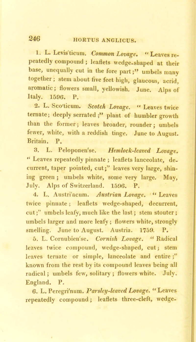 1. L. Levis'ticum, Common Lovage. “Leaves re- peatedly compound ; leaflets wedge-shaped at their base, unequally cut in the fore partumbels many together ; stem about five feet higli, glaucous, acrid, aromatic; flowers small, yellowish, June, Alps of Italy, 1596. P. 2. L, Sco'ticum. Scotch Lovage. “ Leaves twice ternate; deeply serrated plant of humbler growth than the former; leaves broader, rounder; umbels fewer, white, with a reddish tinge, June to August. Britain. P. 3. L. Peloponen'sc. Hemlock-leaved Lovage, “ Leaves repeatedly pinnate ; leaflets lanceolate, de- current, taper pointed, cut;” leaves very large, shin- ing green ; umbels white, some very large. May, July. Alps of Switzerland. 1596. P. 4. L, Austri'acum. Austrian Lovage. ' “ Leaves twice pinnate; leaflets w'edge-shaped, decurrent, cutumbels leafy, much like the last; stem stouter; umbels larger and more leafy; flowers white, strongly smelling. June to August. Austria. 1759. P. 5. L. Cornubien'se. Cornish Lovage. “ Radical leaves twice compound, wedge-shaped, cut; stem leaves ternate or simple, lanceolate and entire known from the rest by its compound leaves being all radical; umbels few, solitary ; flowers white. July. England. P. 6. L. Peregri'num. Parsley-leaved Lovage. “ Leaves repeatedly compound; leaflets three-cleft, wedge-