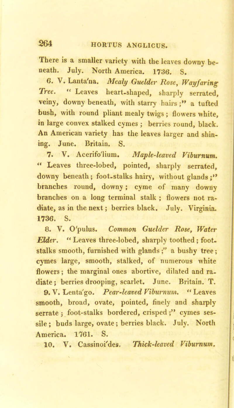 There is a smaller variety with the leaves downy be- neath. July. North America. 17;36. S. t>» V. Lanta'na, Mealy Guelder Rose, Wayfaring Tree. “ Leaves heart-shaped, sharply serrated, veiny, downy beneath, with starry hairsa tufted bush, with round pliant mealy twigs; flowers white, in large convex stalked cymes ; berries round, black. An American variety has the leaves larger and shin- ing. June. Britain. S. 7. V. Acerifo'lium. Maple-leaved Viburnum. “ Leaves three-lobed, pointed, sharply serrated, downy beneath; foot.stalks hairy, without glands branches round, downy; cyme of many downy branches on a long terminal stalk ; flowers not ra- diate, as in the next; berries black. July. Virginia. 1736. S. 8. V. O'pulus. Common Guelder Rose, Water Elder. “ Leaves three-lobed, sharply toothed; foot, stalks smooth, furnished with glandsa bushy tree; cymes large, smooth, stalked, of numerous white flowers; the marginal ones abortive, dilated and ra. diate; berries drooping, scarlet. June. Britain. T. 9. V. Lenta'go. Pear-leaved Viburnum. “ Leaves smooth, broad, ovate, pointed, finely and sharply serrate j foot-stalks bordered, crisped cymes ses- sile; buds large, ovate; berries black. July. North America. 1761. S. 10. V. Cassinoi'des, Thick-leaved Viburnum.