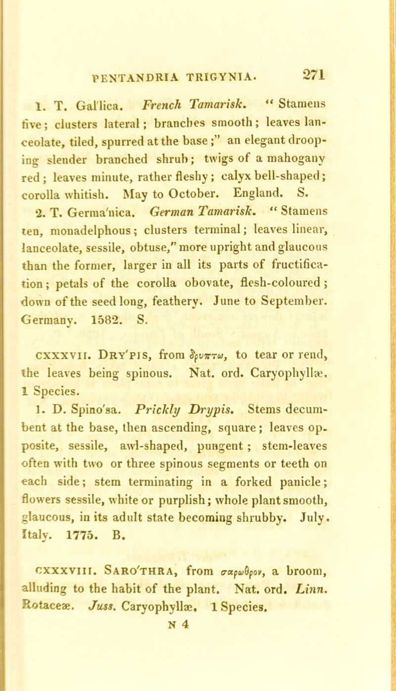 1. T. Gal'lica. French Tamarisk. “ Stamens five; clusters lateral; branches smooth; leaves lan- ceolate, tiled, spurred at the base ;” an elegant droop- ing slender branched shrub; twigs of a mahogany red; leaves minute, rather fleshy; calyx bell-shaped; corolla whitish. May to October. England. S. 2. T. Gerraa'nica. German Tamarisk. “ Stamens ten, monadelphous; clusters terminal; leaves linear, lanceolate, sessile, obtuse,” more upright and glaucous than the former, larger in all its parts of fructifica- tion ; petals of the corolla obovate, flesh-coloured; down of the seed long, feathery. June to September, Germany. 1582. S. cxxxvii. Dry'pis, from SfuffTw, to tear or rend, the leaves being spinous. Nat. ord. Caryophyllae. 1 Species. 1. D. Spino'sa. Prickly Drypis. Stems decum- bent at the base, then ascending, square; leaves op- posite, sessile, awl-shaped, pungent ; stem-leaves often with two or three spinous segments or teeth on each side; stem terminating in a forked panicle; flowers sessile, white or purplish; whole plant smooth, glaucous, in its adult state becoming shrubby. July. Italy. 1775. B. CXXXVII I. Saro'thra, from a-ctfu^fo», a broom, alluding to the habit of the plant. Nat. ord. Linn. Rotaceae. Juss. Caryophyllae, 1 Species. N 4