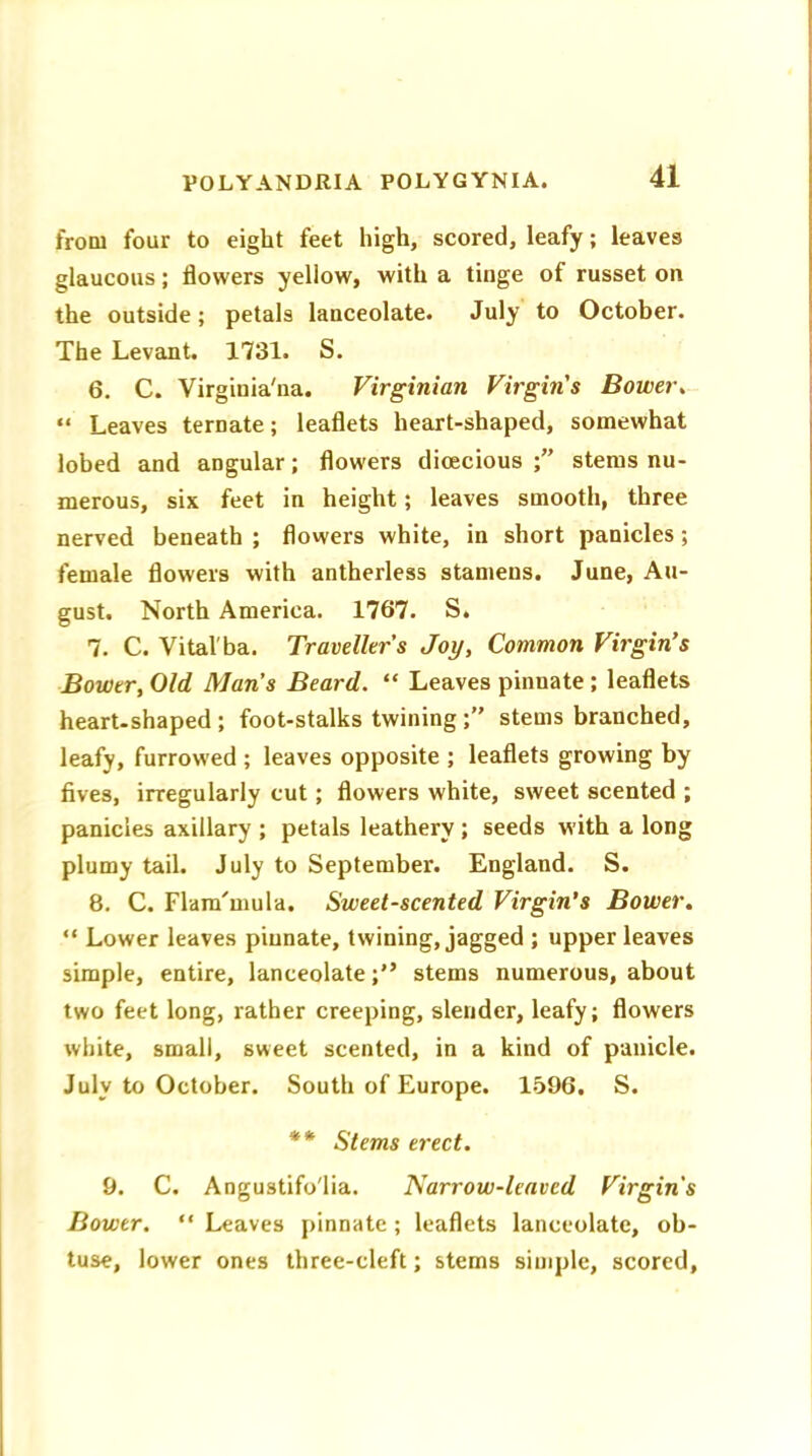 from four to eight feet high, scored, leafy; leaves glaucous; flowers yellow, with a tinge of russet on the outside; petals lanceolate. July to October. The Levant. 1731. S. 6. C. Virginia'na. Virginian Virgins Bower. “ Leaves ternate; leaflets heart-shaped, somewhat lobed and angular; flowers dioecious stems nu- merous, six feet in height; leaves smooth, three nerved beneath ; flowers white, in short panicles; female flowers with antherless stamens. June, Au- gust. North America. 1767. S. 7. C. Vital'ba. Travellers Joy, Common Virgin's Bower, Old Man’s Beard. “ Leaves pinnate ; leaflets heart-shaped; foot-stalks twining;” stems branched, leafy, furrowed ; leaves opposite ; leaflets growing by fives, irregularly cut ; flowers white, sweet scented ; panicles axillary ; petals leathery ; seeds with a long plumy tail. July to September. England. S. 8. C. Flam'mula. Sweet-scented Virgin’s Bower. “ Lower leaves pinnate, twining, jagged ; upper leaves simple, entire, lanceolate;” stems numerous, about two feet long, rather creeping, slender, leafy; flowers white, small, sweet scented, in a kind of panicle. July to October. South of Europe. 1596. S. ** Stems erect. 9. C. Angustifo'lia. Narrow-leaved Virgin’s Bower. “ Leaves pinnate; leaflets lanceolate, ob- tuse, lower ones three-cleft; stems simple, scored.