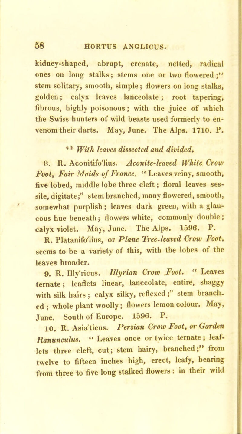 kidney-shaped, abrupt, crenate, netted, radical ones on long stalks; stems one or two flowered stem solitary, smooth, simple; flowers on long stalks, golden; calyx leaves lanceolate ; root tapering, fibrous, highly poisonous; with the juice of which the Swiss hunters of wild beasts used formerly to en- venom their darts. May, June. The Alps. 1710. P. ** With leaves dissected and divided. 8. R. Aconitifo'lius. Aconite-leaved White Crow Foot, Fair Maids of France. “ Leaves veiny, smooth, five lobed, middle lobe three cleft; floral leaves ses- sile, digitate;” stem branched, many flowered, smooth, somewhat purplish; leaves dark green, with a glau- cous hue beneath; flowers white, commonly double; calyx violet. May, June. The Alps. 1596. P. R. Platanifo'lius, or Plane Tree-leaved Crow Foot. seems to be a variety of this, with the lobes of the leaves broader. 9. R. Illy'ricus. Illyrian Crow .Foot. “ Leaves ternate; leaflets linear, lanceolate, entire, shaggy with silk hairs ; calyx silky, reflexedstem branch, ed ; whole plant woolly; flowers lemon colour. May, June. South of Europe. 1596. P. 10. R. Asia'ticus. Persian Crow Foot, or Garden Ranunculus. “ Leaves once or twice ternate; leaf- lets three cleft, cut; stem hairy, branched;” from twelve to fifteen inches high, erect, leafy, bearing from three to five long stalked flowers; in their wild