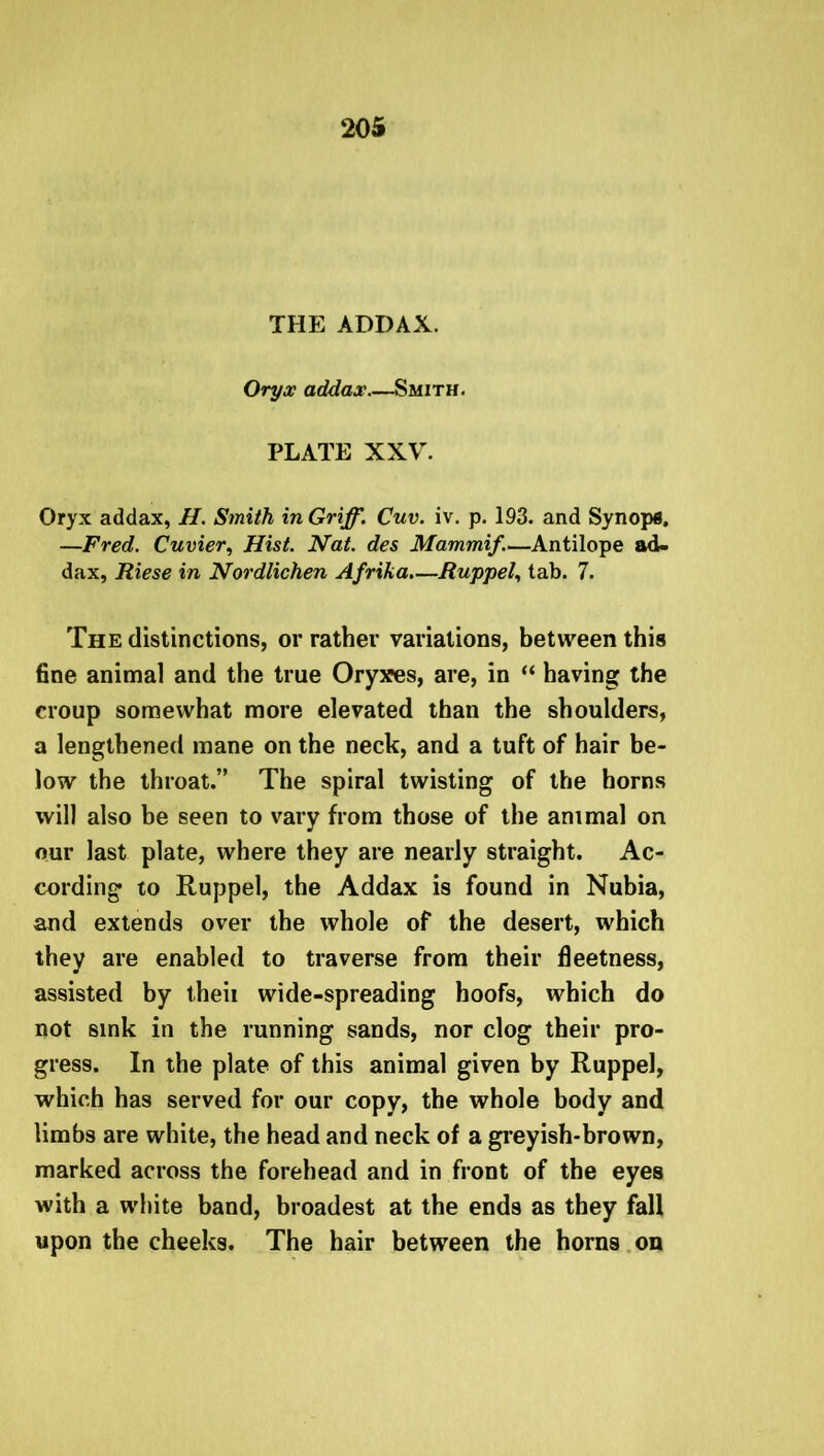 THE ADDAX. Oryx addax Smith. PLATE XXV. Oryx addax, H. Smith in Griff. Cuv. iv. p. 193. and Synopfl. —Fred. Cuvier, Hist. Nat. des Mammif.—Antilope ad- dax, Riese in Nordlichen Afrika.—Rappel, tab. 7. The distinctions, or rather variations, between this fine animal and the true Oryxes, are, in “ having the croup somewhat more elevated than the shoulders, a lengthened mane on the neck, and a tuft of hair be- low the throat.” The spiral twisting of the horns will also be seen to vary from those of the animal on our last plate, where they are nearly straight. Ac- cording to Ruppel, the Addax is found in Nubia, and extends over the whole of the desert, which they are enabled to traverse from their fleetness, assisted by theii wide-spreading hoofs, which do not sink in the running sands, nor clog their pro- gress. In the plate of this animal given by Ruppel, which has served for our copy, the whole body and limbs are white, the head and neck of a greyish-brown, marked across the forehead and in front of the eyes with a white band, broadest at the ends as they fall upon the cheeks. The hair between the horns on