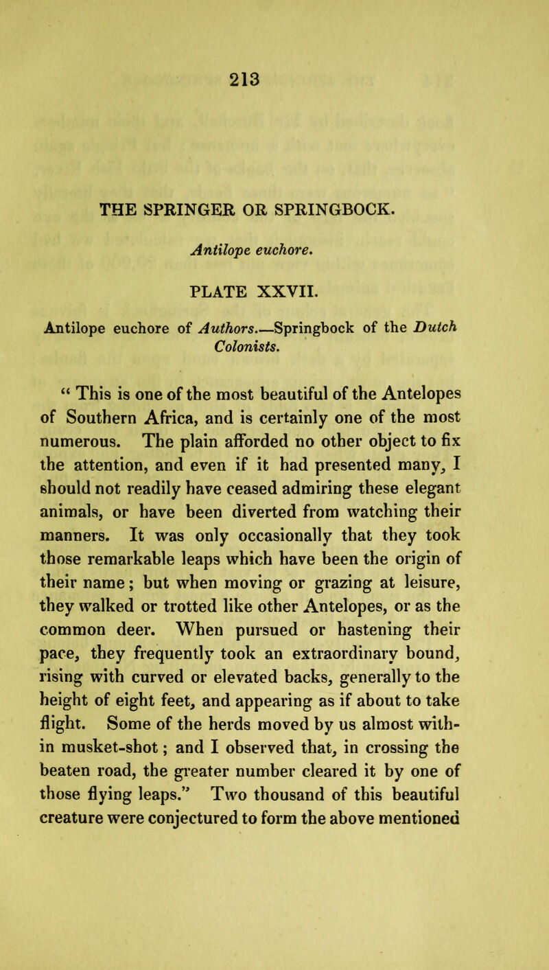 THE SPRINGER OR SPRINGBOCK. Antxlope euchore. PLATE XXVII. Antilope euchore of Authors—Springbock of the Dutch Colonists. “ This is one of the most beautiful of the Antelopes of Southern Africa, and is certainly one of the most numerous. The plain afforded no other object to fix the attention, and even if it had presented many, I should not readily have ceased admiring these elegant animals, or have been diverted from watching their manners. It was only occasionally that they took those remarkable leaps which have been the origin of their name; but when moving or grazing at leisure, they walked or trotted like other Antelopes, or as the common deer. When pursued or hastening their pace, they frequently took an extraordinary bound, rising with curved or elevated backs, generally to the height of eight feet, and appearing as if about to take flight. Some of the herds moved by us almost with- in musket-shot; and I observed that, in crossing the beaten road, the greater number cleared it by one of those flying leaps.” Two thousand of this beautiful creature were conjectured to form the above mentioned