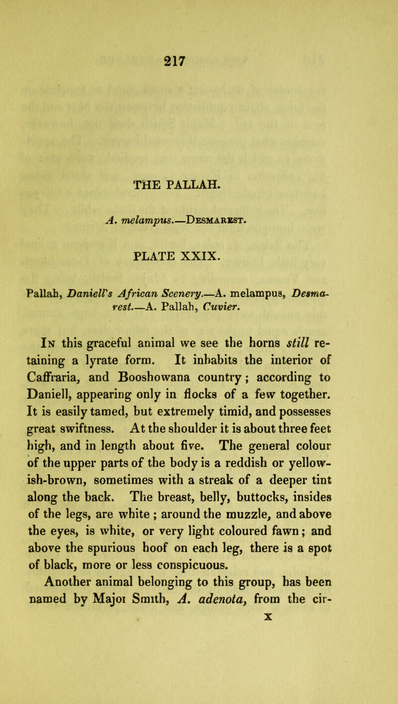 THE PALLAH. A. melampus—Desmarxst. PLATE XXIX. Pallah, DanielVs African Scenery.—A. melampus, Desma- rest—A. Pallah, Cuvier. In this graceful animal we see the horns still re- taining a lyrate form. It inhabits the interior of Caffraria, and Booshowana country; according to Daniell, appearing only in flocks of a few together. It is easily tamed, but extremely timid, and possesses great swiftness. At the shoulder it is about three feet high, and in length about five. The general colour of the upper parts of the body is a reddish or yellow- ish-brown, sometimes with a streak of a deeper tint along the back. The breast, belly, buttocks, insides of the legs, are white ; around the muzzle, and above the eyes, is white, or very light coloured fawn; and above the spurious hoof on each leg, there is a spot of black, more or less conspicuous. Another animal belonging to this group, has been named by Majoi Smith, A. adenota, from the cir- x