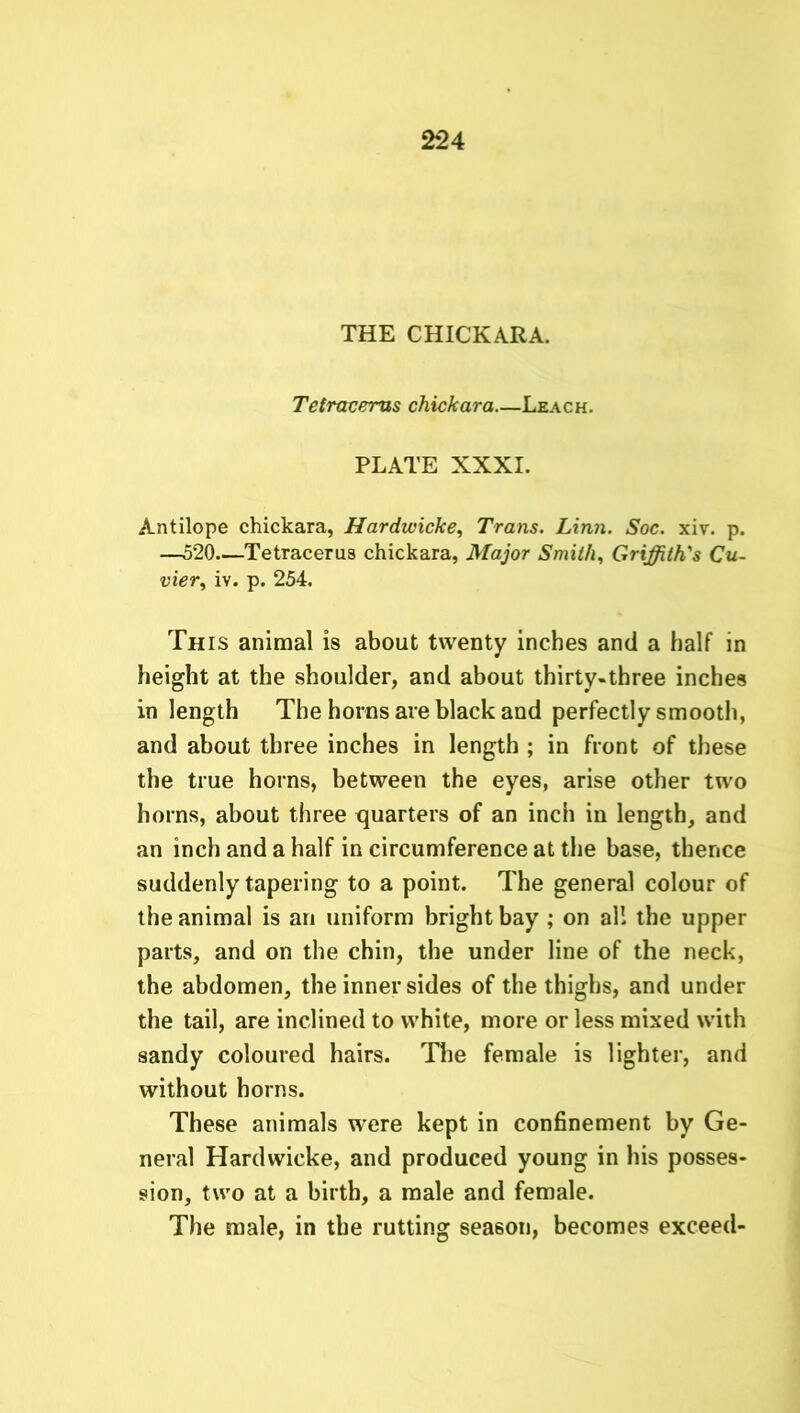 THE CHICKARA. Tetracerus chickara Leach. PLATE XXXI. Antilope chickara, Hardwicke, Trans. Linn. Soc. xiv. p. —520—Tetracerus chickara, Major Smith, Griffith's Cu- vier, iv. p. 254. This animal is about twenty inches and a half in height at the shoulder, and about thirty-three inches in length The horns are black and perfectly smooth, and about three inches in length ; in front of these the true horns, between the eyes, arise other two horns, about three quarters of an inch in length, and an inch and a half in circumference at the base, thence suddenly tapering to a point. The general colour of the animal is an uniform bright bay ; on all the upper parts, and on the chin, the under line of the neck, the abdomen, the inner sides of the thighs, and under the tail, are inclined to white, more or less mixed with sandy coloured hairs. The female is lighter, and without horns. These animals were kept in confinement by Ge- neral Hardwicke, and produced young in his posses- sion, two at a birth, a male and female. The male, in the rutting season, becomes exceed-