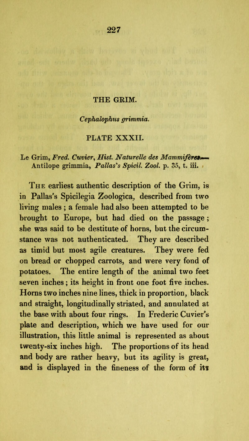 THE GRIM. Cephalophns grimmia. PLATE XXXII. Le Grim, Fred. Cuvier, Hist. Naturelle des Mammif&re*~— Antilope grimmia, Pallas's Spicil. Zool. p. 35, t. iii. The earliest authentic description of the Grim, is in Pallas’s Spicilegia Zoologica, described from two living males; a female had also been attempted to be brought to Europe, but had died on the passage ; she was said to be destitute of horns, but the circum- stance was not authenticated. They are described as timid but most agile creatures. They were fed on bread or chopped carrots, and were very fond of potatoes. The entire length of the animal two feet seven inches; its height in front one foot five inches. Horns two inches nine lines, thick in proportion, black and straight, longitudinally striated, and annulated at the base with about four rings. In Frederic Cuvier’s plate and description, which we have used for our illustration, this little animal is represented as about twenty-six inches high. The proportions of its head and body are rather heavy, but its agility is great, and is displayed in the fineness of the form of its