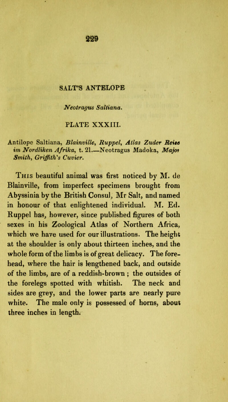 229 SALT’S ANTELOPE Neotragus Saltiana. PLATE XXXIII. Antilope Saltiana, Blainville, Ruppel, Atlas Zuder Reite im Nordliken Afrika, t. 21.—Neotragus Madoka, Major Smith, Griffith's Cuvier. This beautiful animal was first noticed by M. de Blainville, from imperfect specimens brought from Abyssinia by the British Consul, Mr Salt, and named in honour of that enlightened individual. M. Ed. Ruppel has, however, since published figures of both sexes in his Zoological Atlas of Northern Africa, which we have used for our illustrations. The height at the shoulder is only about thirteen inches, and the whole form of the limbs is of great delicacy. The fore- head, where the hair is lengthened back, and outside of the limbs, are of a reddish-brown ; the outsides of the forelegs spotted with whitish. The neck and sides are grey, and the lower parts are nearly pure white. The male only is possessed of horns, about three inches in length.