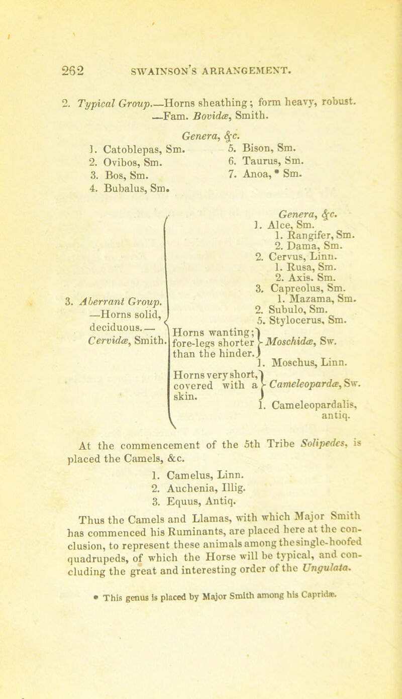 2. Typical Group Horns sheathing; form heavy, robust. Fam. BovidtB, Smith. ]. Catoblepas, Sm. 2. Ovibos, Sm. 3. Bos, Sm. 4. Bubalus, Sm. Genera, ^c. 5. Bison, Sm. 6. Taurus, Sm. 7. Anoa, * Sm. 3. / Aberrant Group. —Horns solid, deciduous.— ' Cervidw, Smith, Genera, ^c. 1. Alee, Sm. 1. Rangifer, Sm. 2. Dama, Sm. 2. Cervus, Linn. 1. Rusa, Sm. 2. Axis. Sm. 3. Capreolus, Sm. 1. Mazama, Sm. 2. Subulo, Sm. 5. Stylocerus, Sm. Horns wanting;'! fore-legs shorter ^ Moschtda, Sw. than the hinder.) 1. Moschus, Linn. Horns very short,! covered with Cameleopard<E,^'x. skin. ) 1. Cameleopardalis, antiq. At the commencement of the 5th Tribe Solipedes, is placed the Camels, &c. 1. Camelus, Linn. 2. Auchenia, Illig. 3. Equus, Antiq. Thus the Camels and Llamas, with which Major Smith has commenced his Ruminants, are placed here at the con- clusion, to represent these animals among thesingle-hoofed quadrupeds, of which the Horse will be typical, and con- cluding the great and interesting order of the Ungulata. Thi.s genus is placed by Major Smith among his Caprid®.