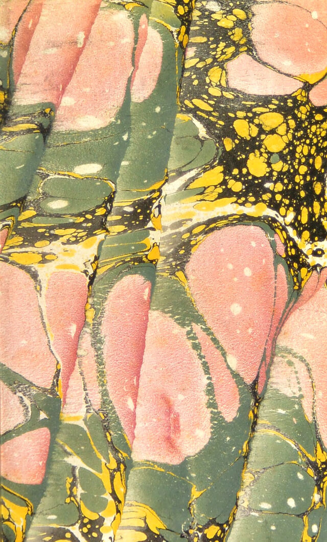 digitised image 3