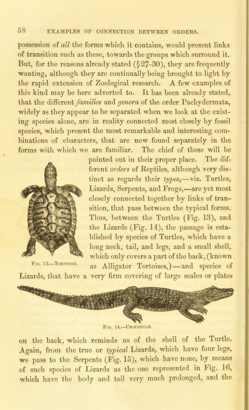 possession of all the forms which it contains, would present links of transition such as these, towards the groups which surround it. But, for the reasons already stated (§27-30), they are frequently wanting, although they are continually being brought to light by the rapid extension of Zoological research. A few examples of this kind may be here adverted to. It has been already stated, that the different families and genera of the order Pachydermata, widely as they appear to be separated when we look at the exist- ing species alone, are in reality connected most closely by fossil species, which present the most remarkable and interesting com- binations of characters, that are now found separately in the forms with which we are familiar. The chief of these will be pointed out in their proper place. The dif- ferent orders of Reptiles, although very dis- tinct as regards their types,—viz. Turtles, Lizards, Serpents, and Frogs,—are yet most closely connected together by links of tran- sition, that pass between the typical forms. Thus, between the Turtles (Fig. 13), and the Lizards (Fig. 14), the passage is esta- blished by species of Turtles, which have a long neck, tail, and legs, and a small shell, which only covers a part of the back, (known as Alligator Tortoises,) — and species of Lizards, that have a very firm covering of large scales or plates Fig. 13.—Tortoise. Fig. 14,—Crocodile. on the back, which reminds us of the shell of the Turtle. Again, from the true or typical Lizards, which have four legs, we pass to the Serpents (Fig. 15), which have none, by means of such species of Lizards as the one represented in Fig. 16, which have the body and tail very much prolonged, and the