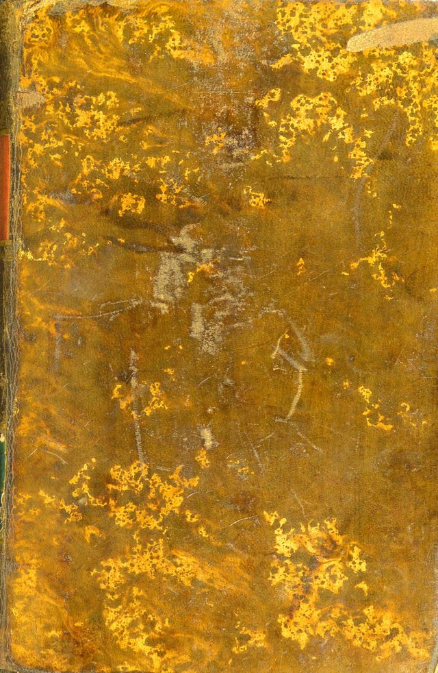 digitised image 1