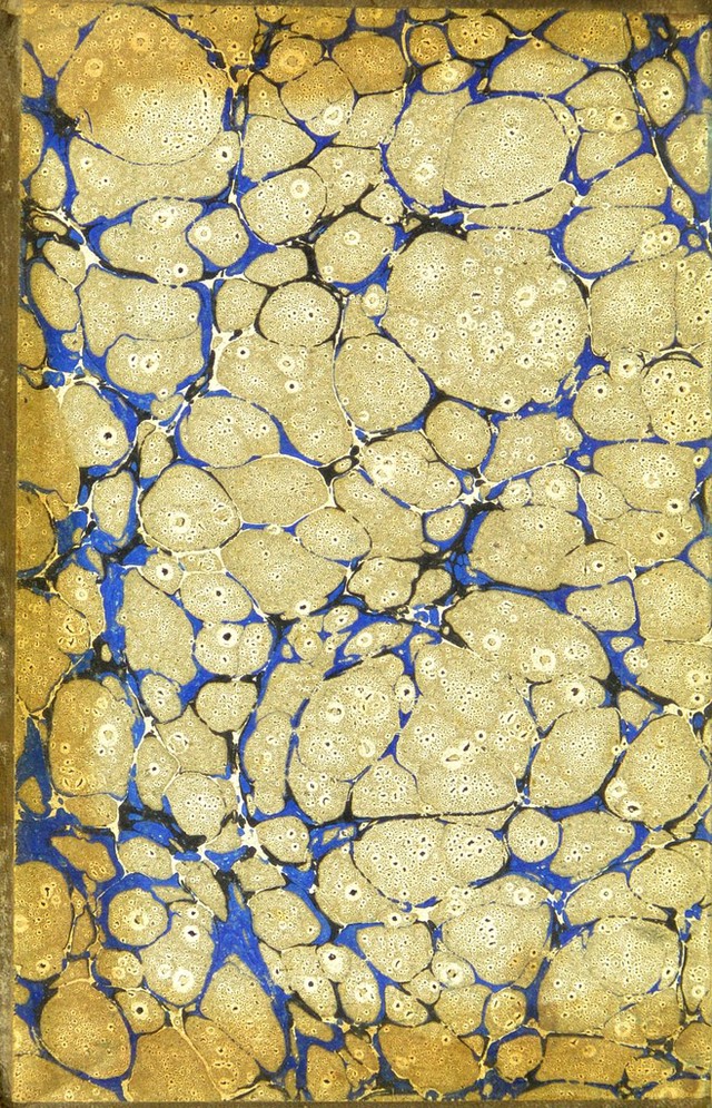 digitised image 2